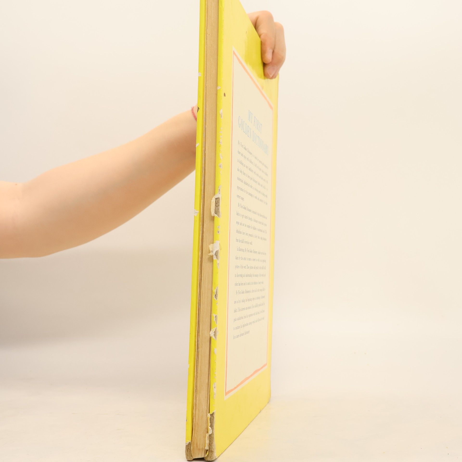 Ellen Wales Walpole My First Golden Dictionary