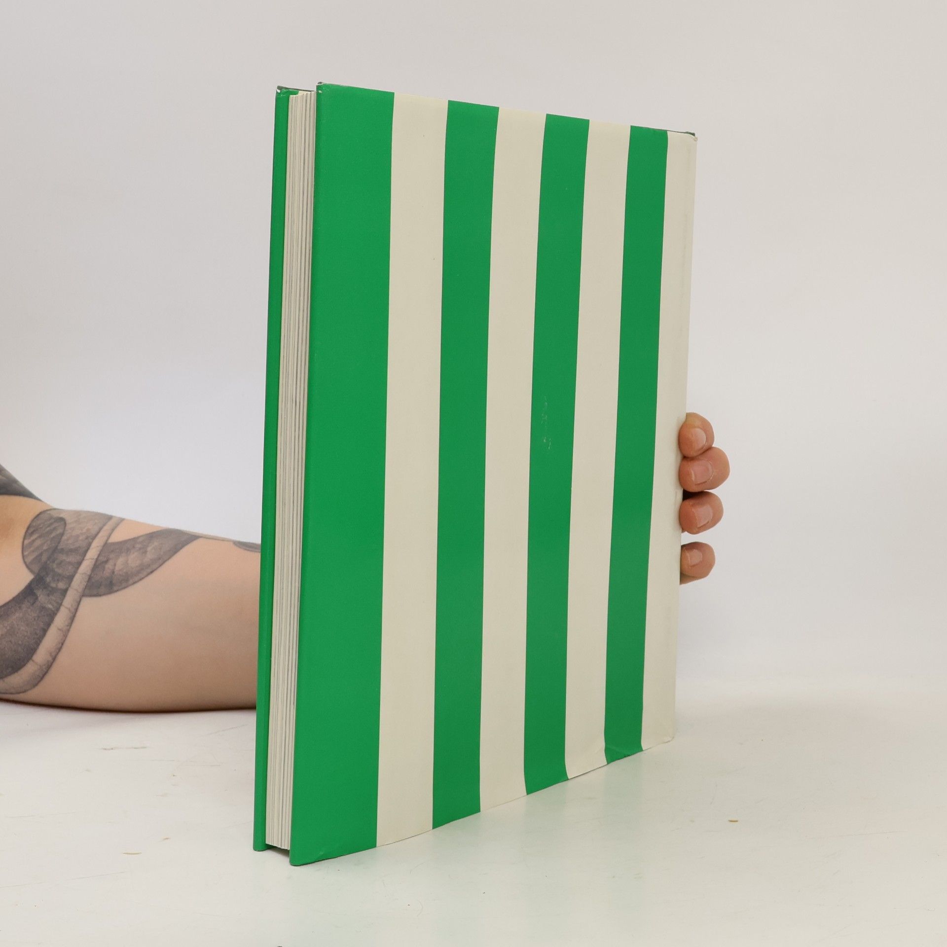 Günther Allinger Das neue Rapid-Buch