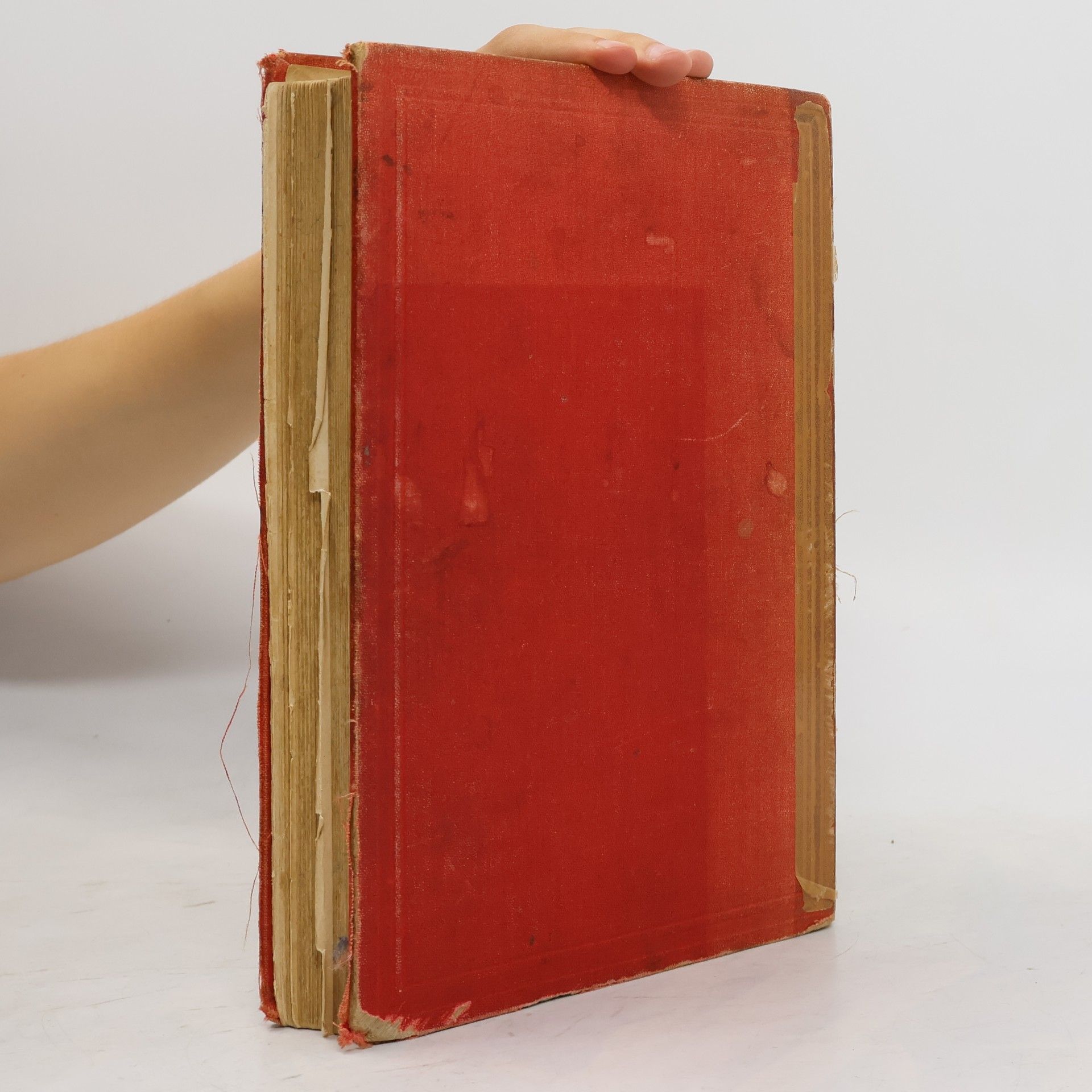 Kolektiv autorů Deutsches Knabenbuch VIII