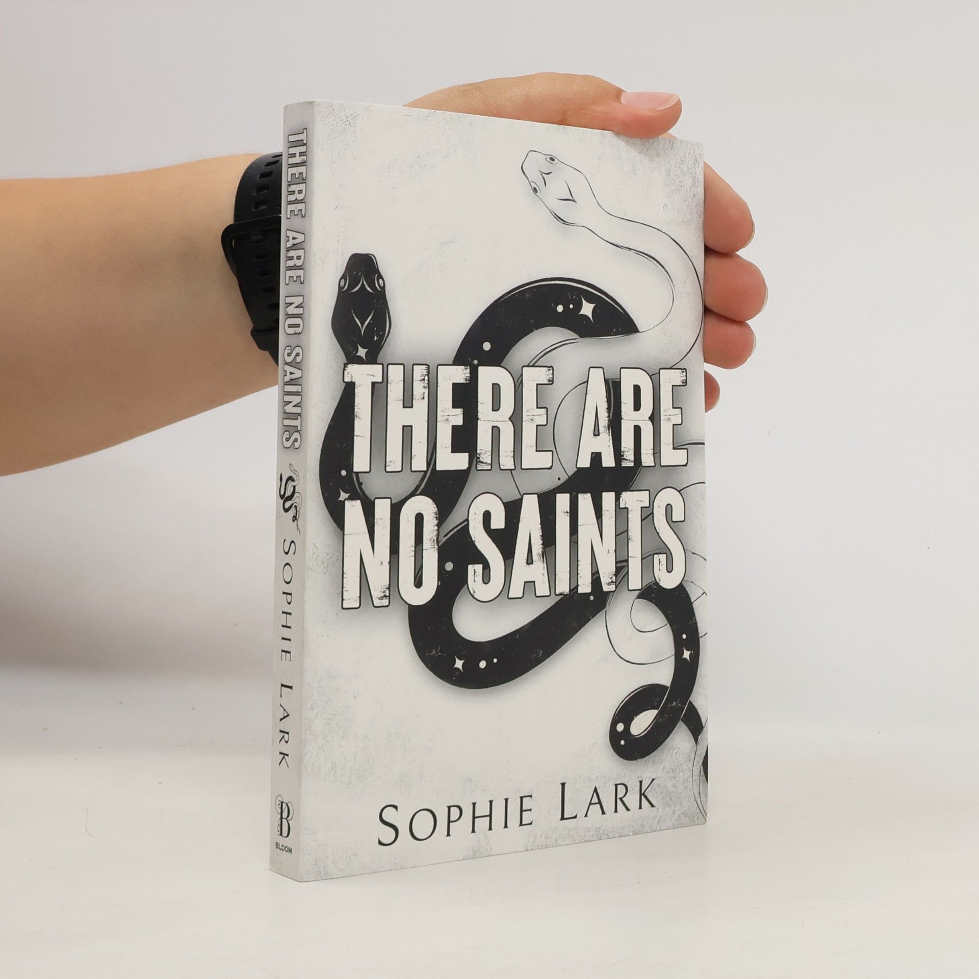 Sophie Lark There Are No Saints