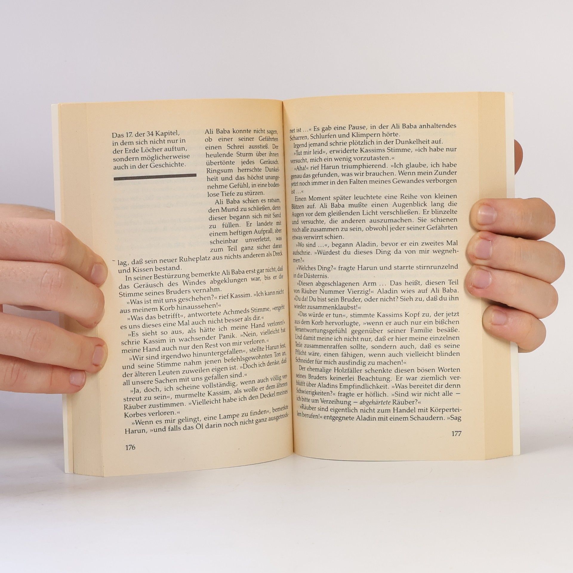 Craig Shaw Gardner Ein schwarzer Tag für Ali Baba. Fantasy-Roman