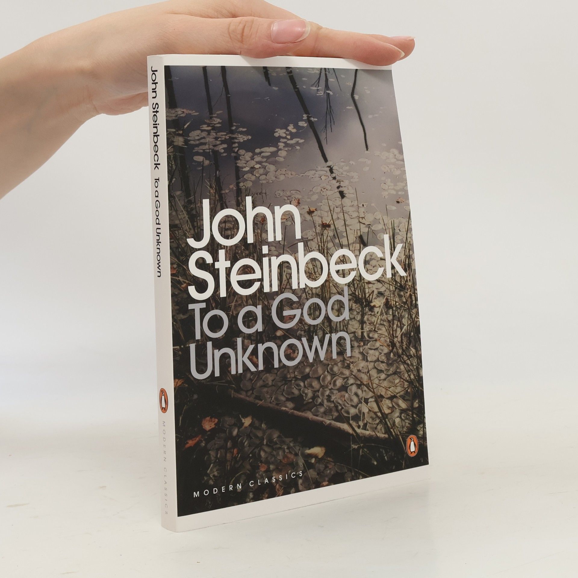 John Steinbeck Penguin Modern Classics: To a God Unknown