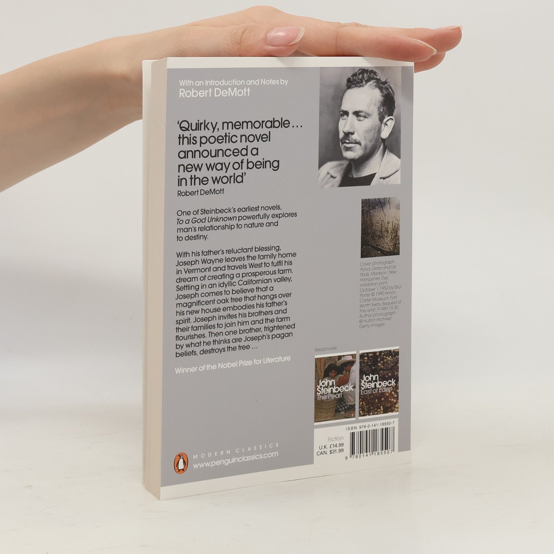 John Steinbeck Penguin Modern Classics: To a God Unknown