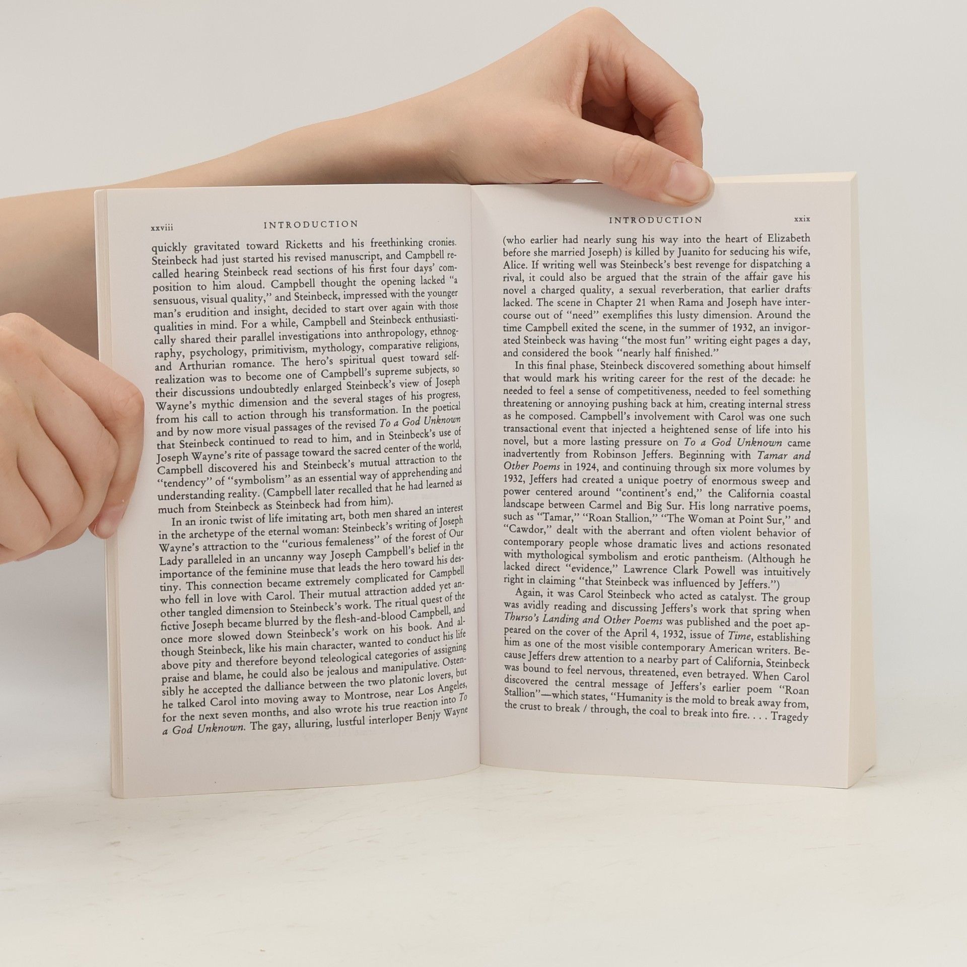 John Steinbeck Penguin Modern Classics: To a God Unknown
