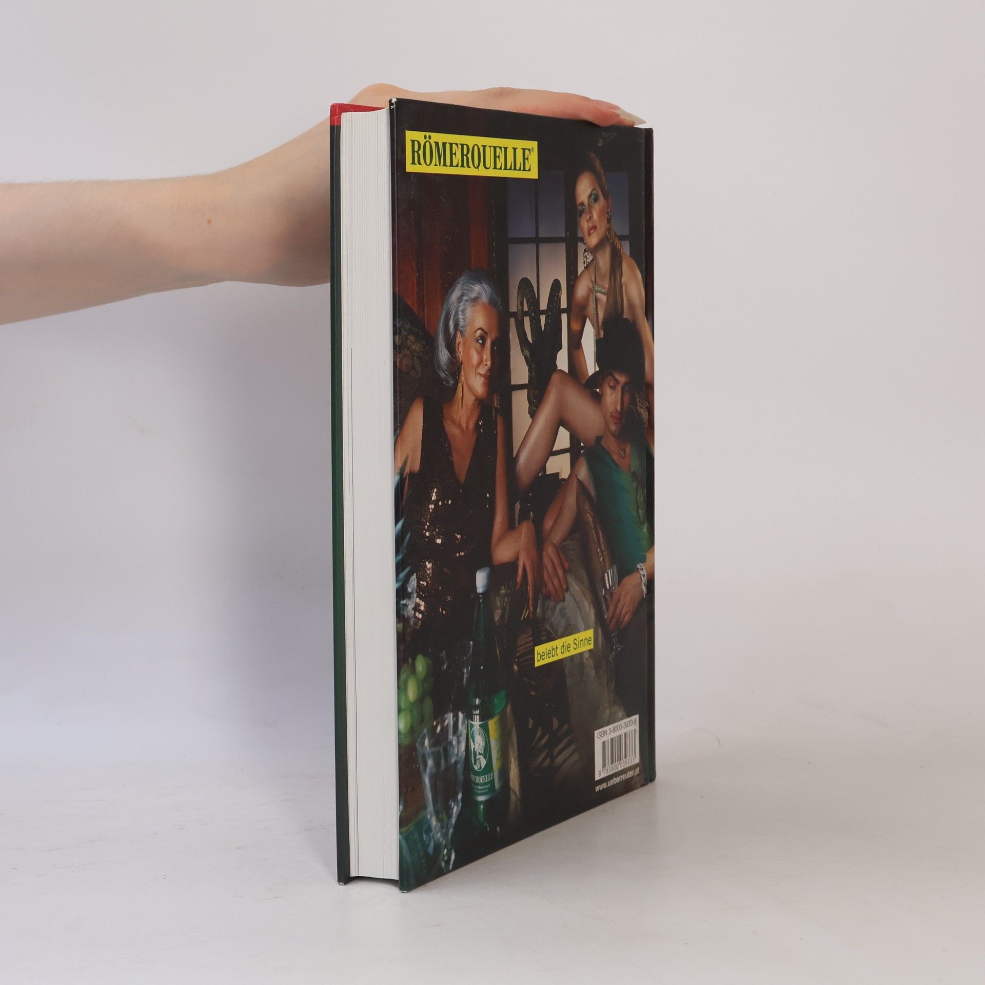 Rudolf Steurer Steurers Weinhandbuch
