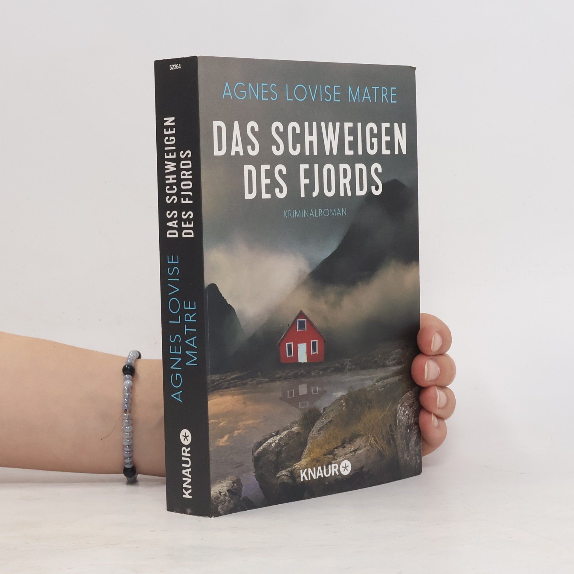 Agnes Lovise Matre Das Schweigen des Fjords