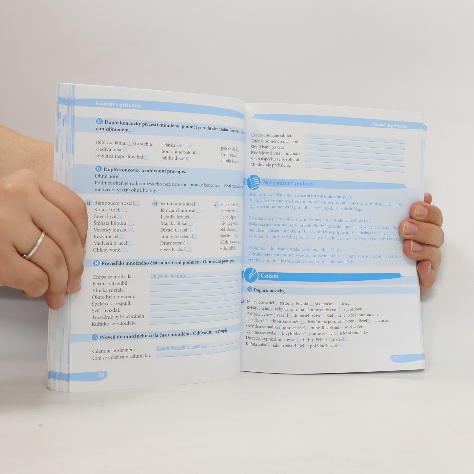 Božetěch Siwek Cvičebnice pravopisu