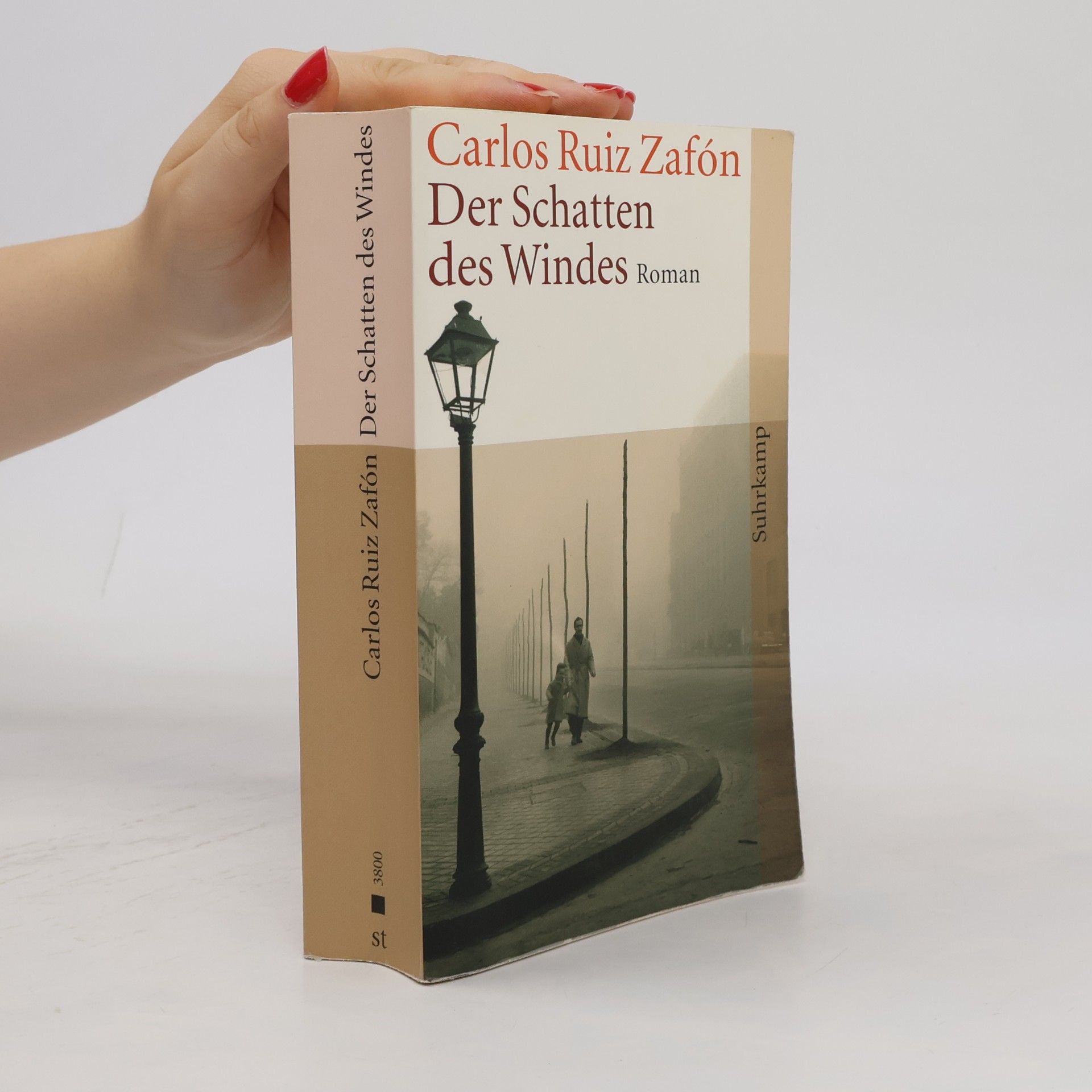 Carlos Ruiz Zafón Der Schatten des Windes
