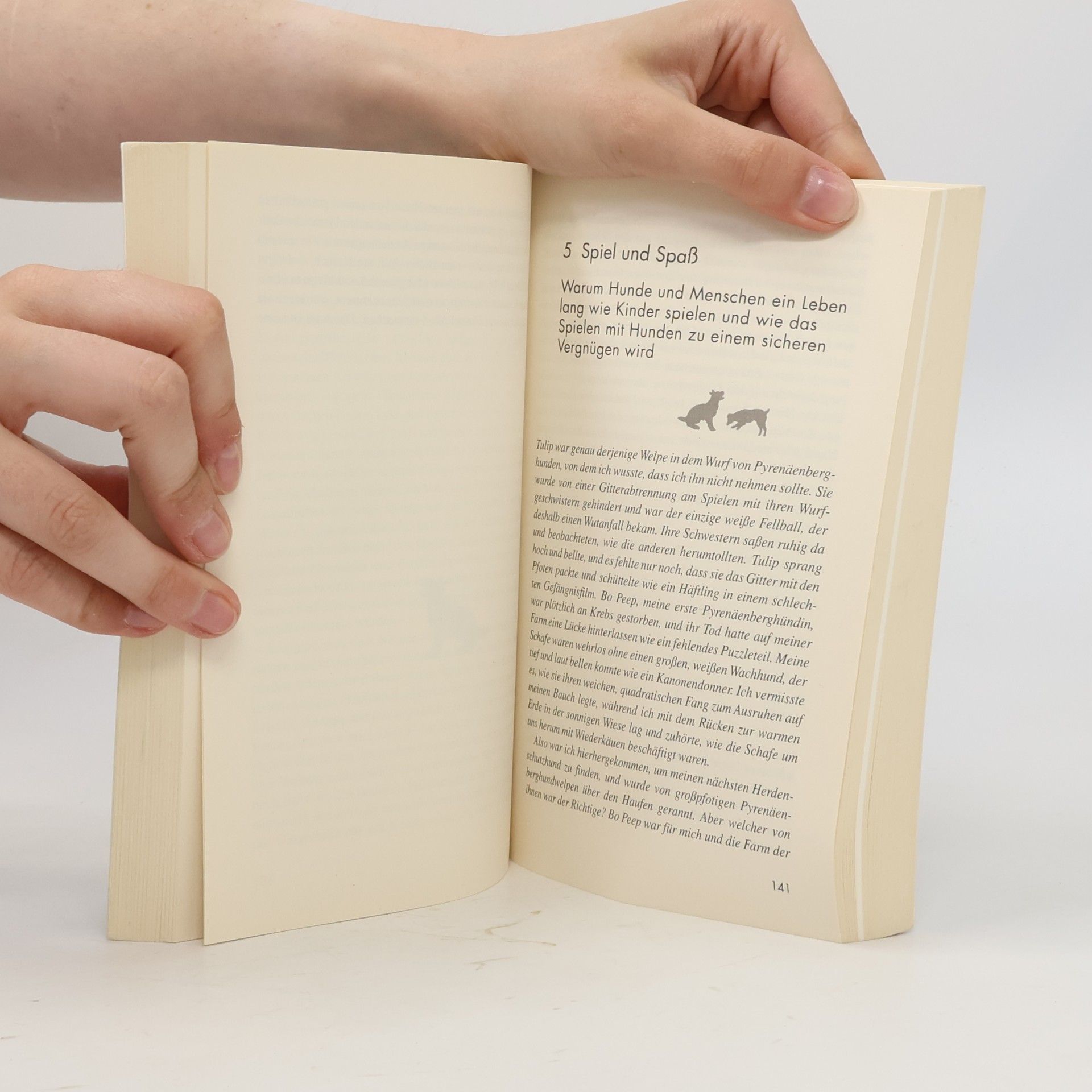 Patricia McConnel Das andere Ende der Leine