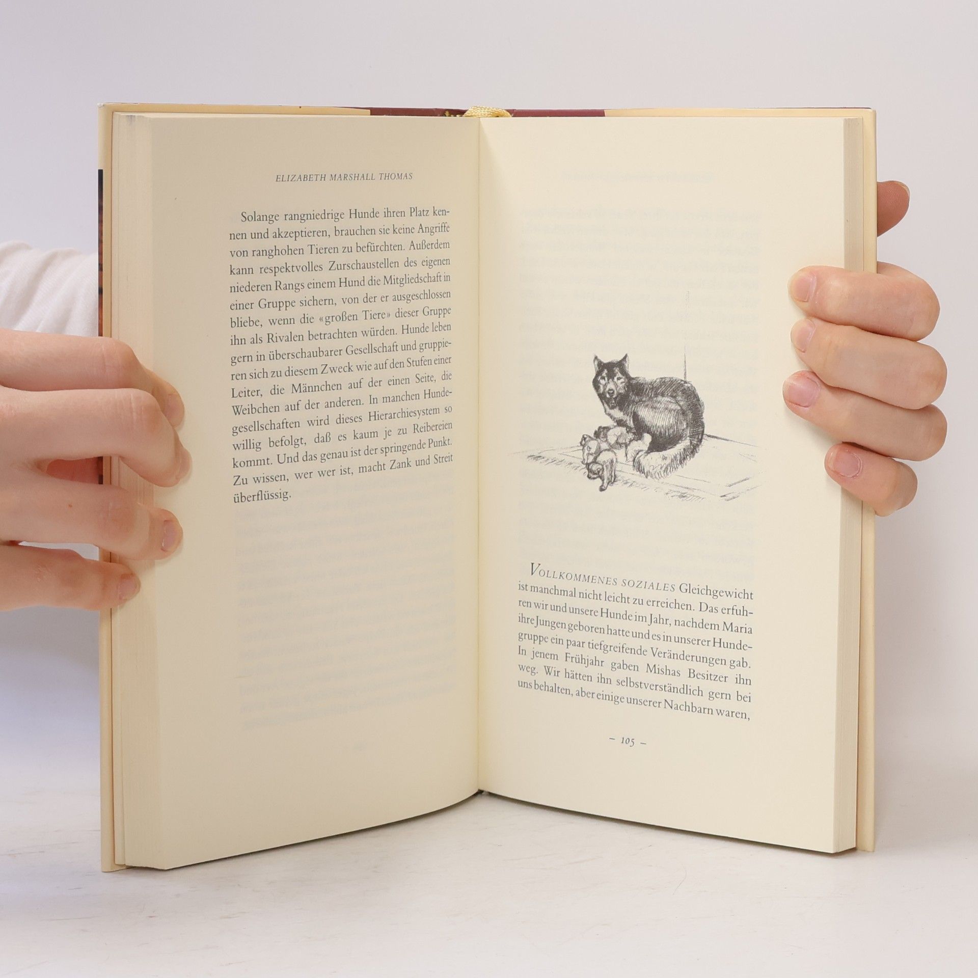 Elizabeth Marshall Thomas Das geheime Leben der Hunde