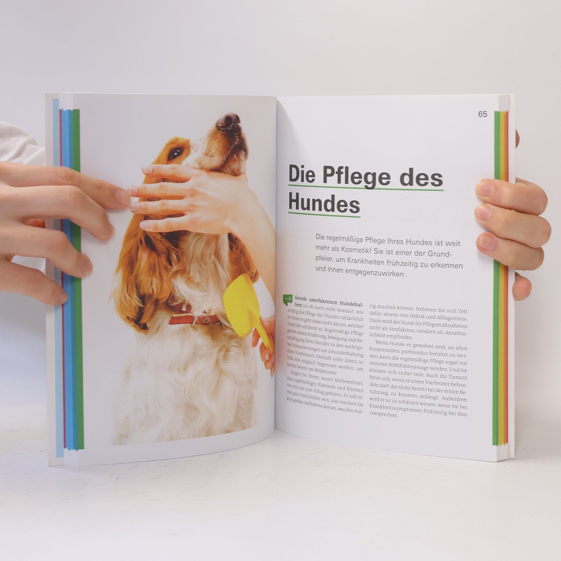 Thomas Brodmann Unser Hund - fit und gesund