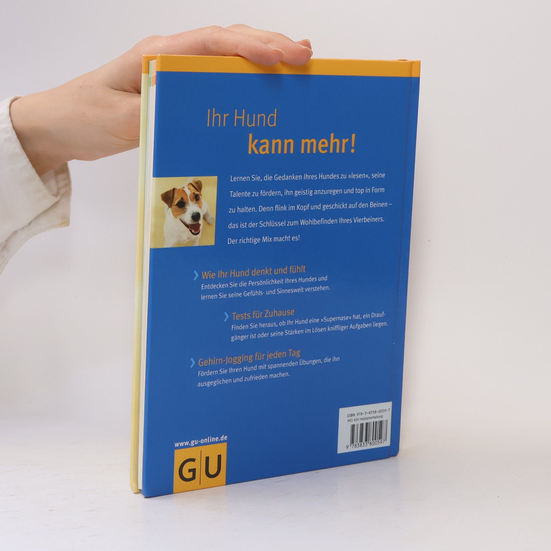 Immanuel Birmelin Schlauer Hund