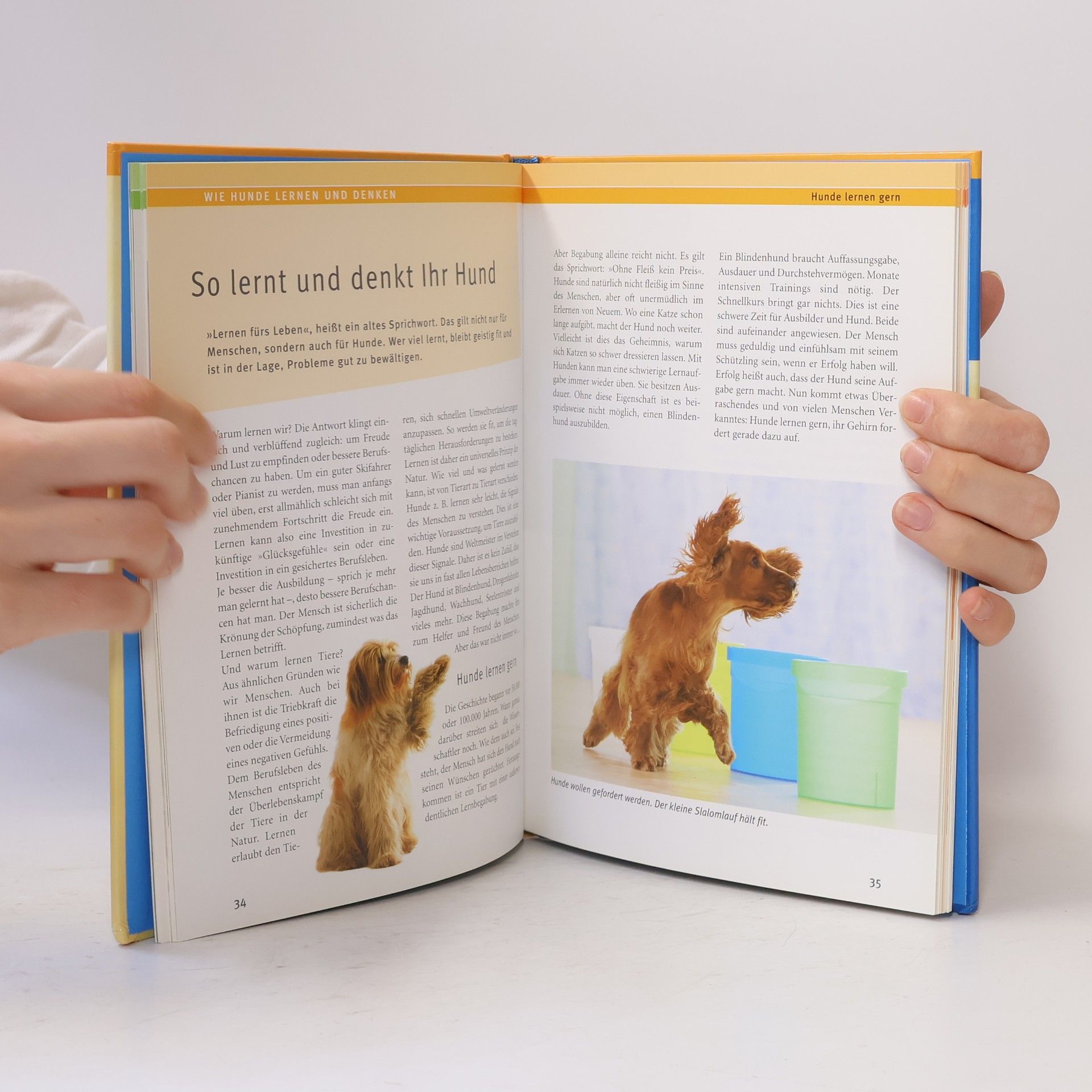 Immanuel Birmelin Schlauer Hund
