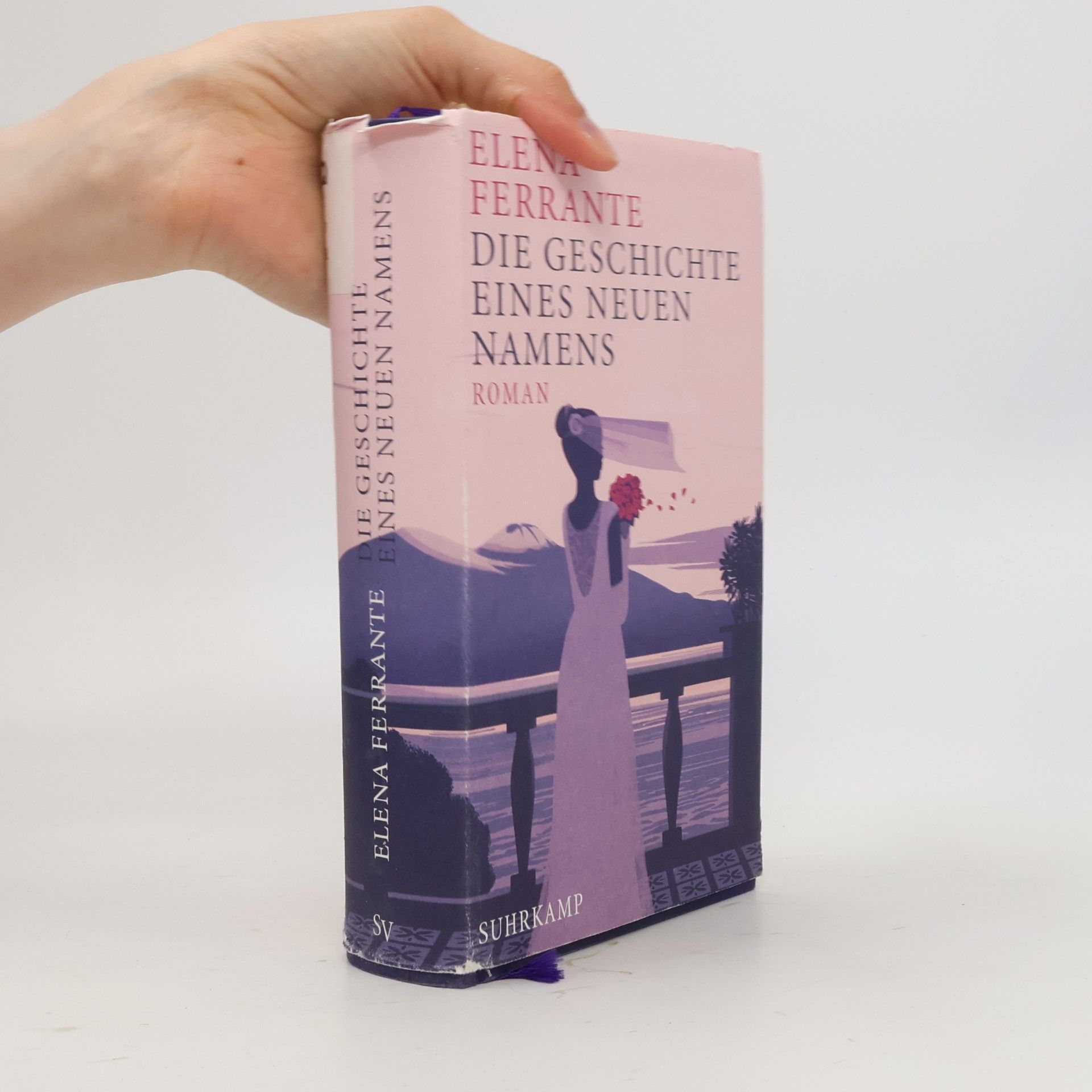 Elena Ferrante Die Geschichte eines neuen Namens: Jugendjahre