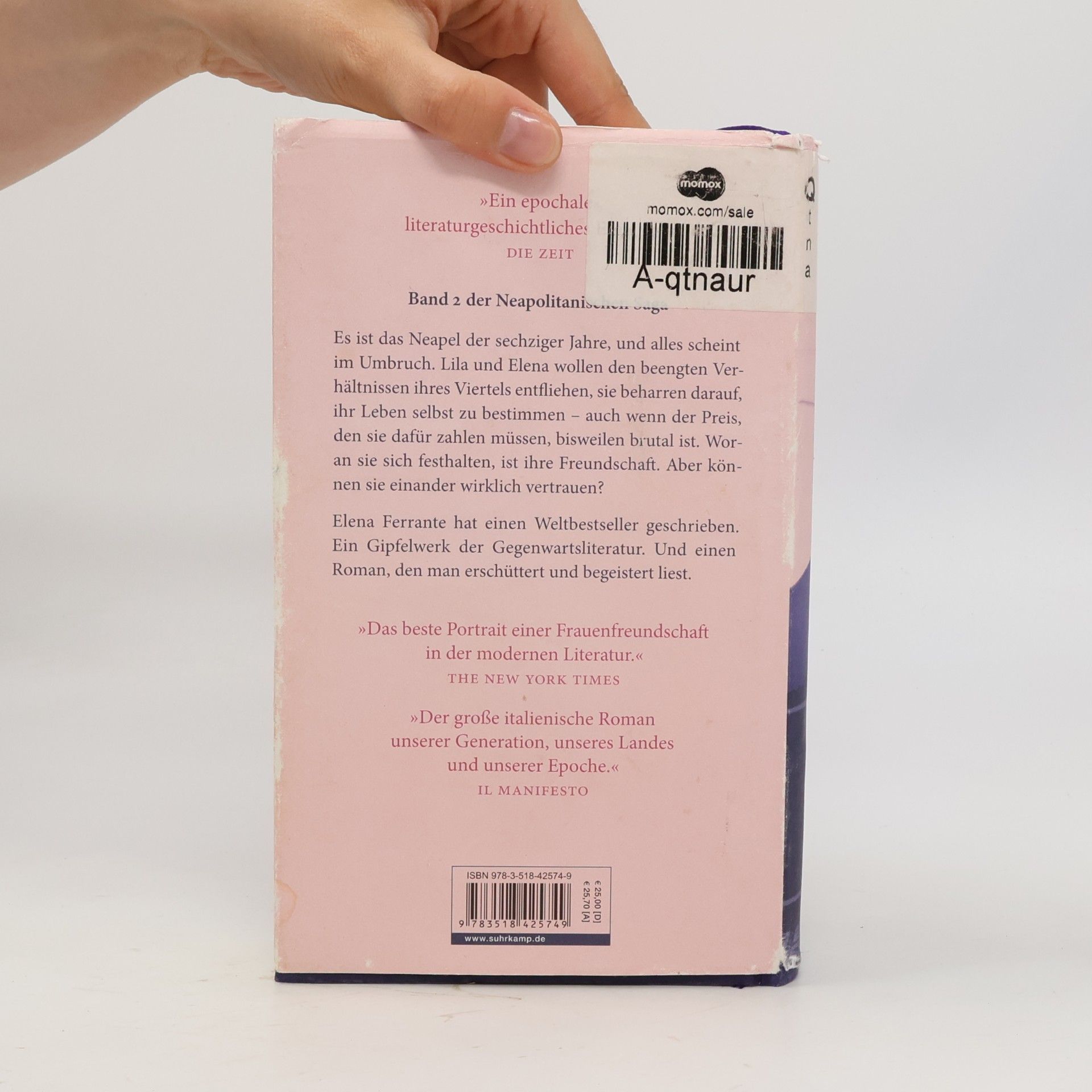 Elena Ferrante Die Geschichte eines neuen Namens: Jugendjahre