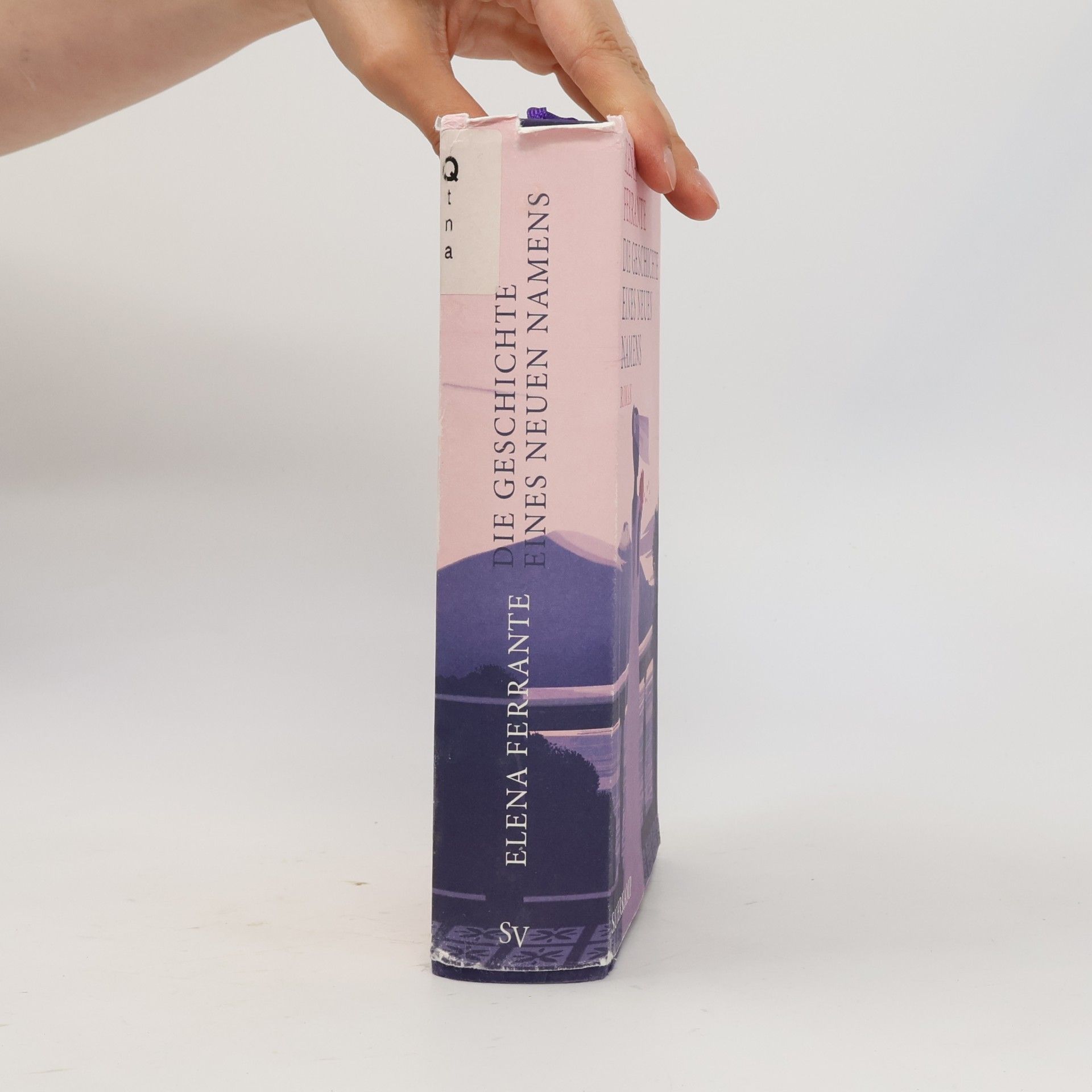 Elena Ferrante Die Geschichte eines neuen Namens: Jugendjahre
