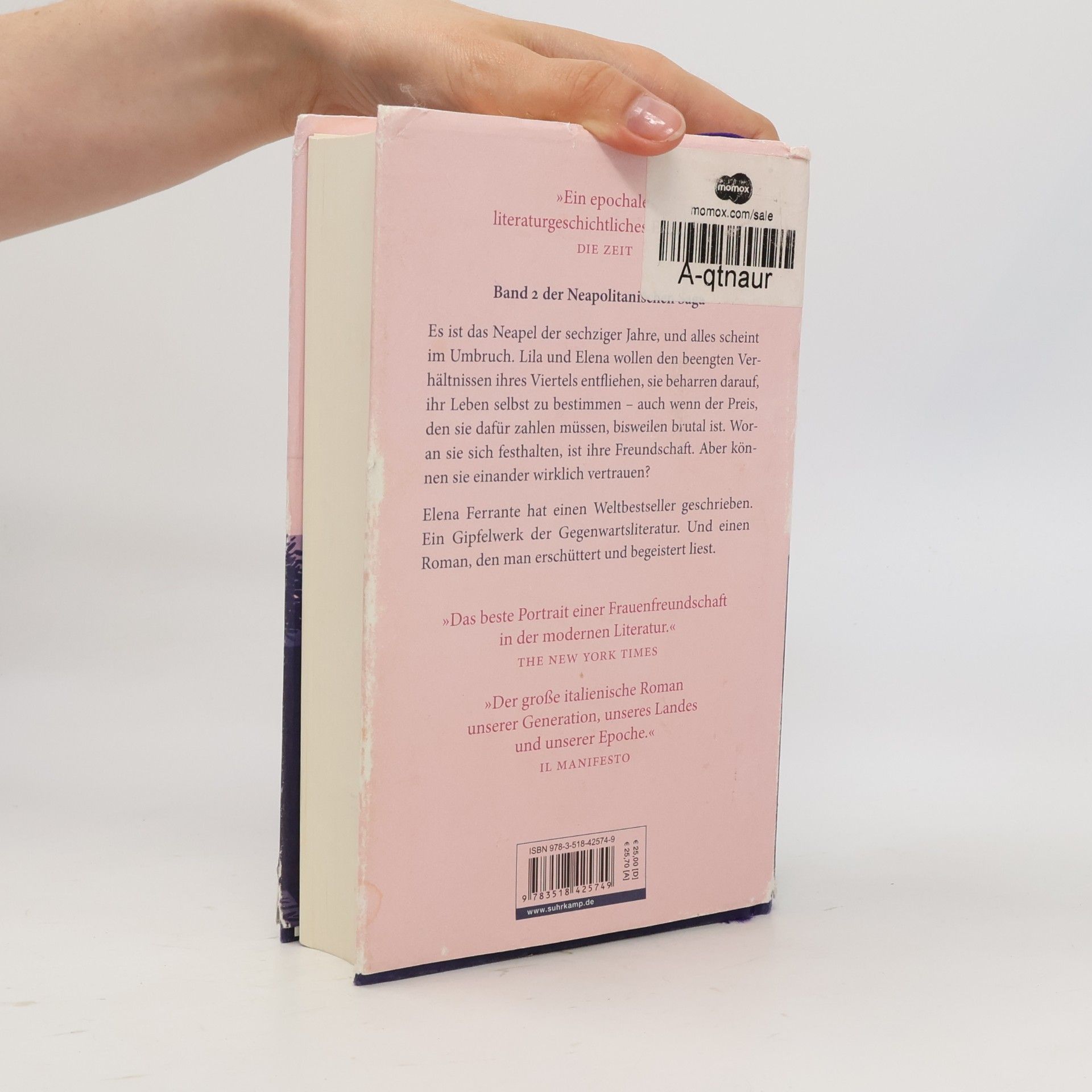 Elena Ferrante Die Geschichte eines neuen Namens: Jugendjahre
