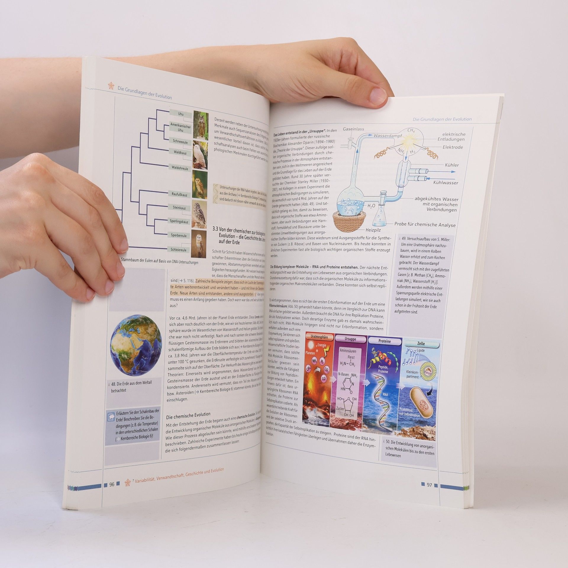 Eva Maria Cattoen Kernbereiche Biologie 5