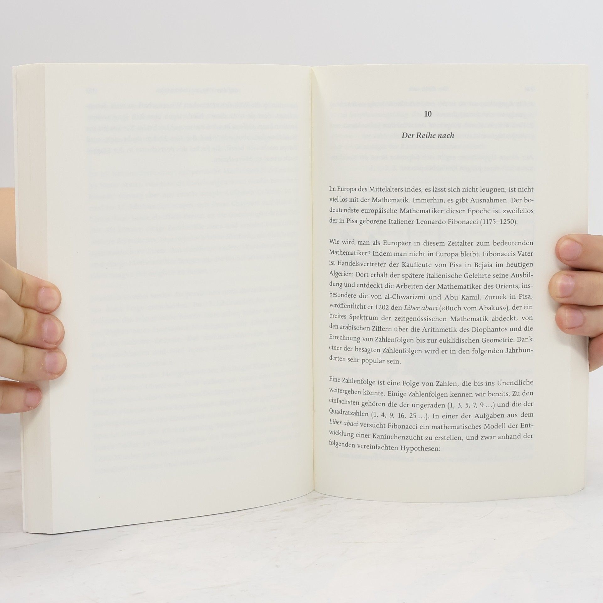 Mickaël Launay Der große Roman der Mathematik