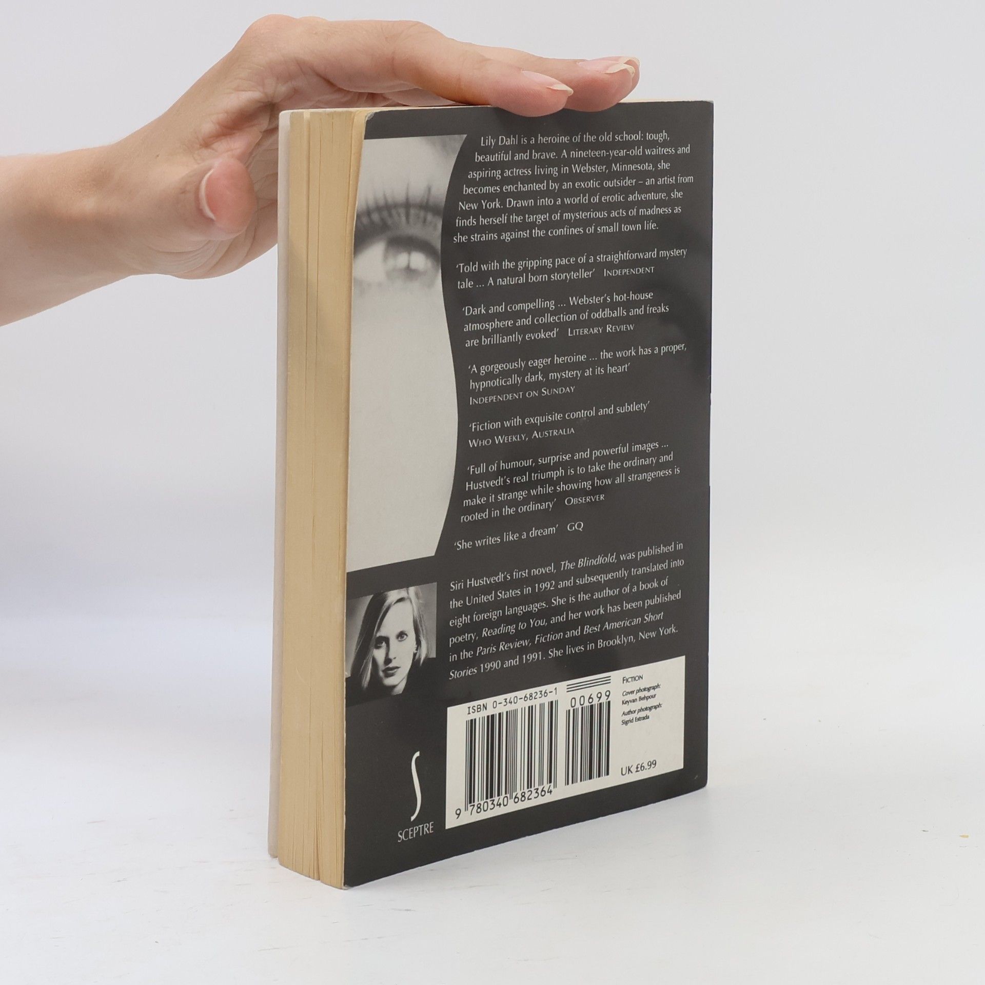 Siri Hustvedt The Enchantment of Lily Dahl