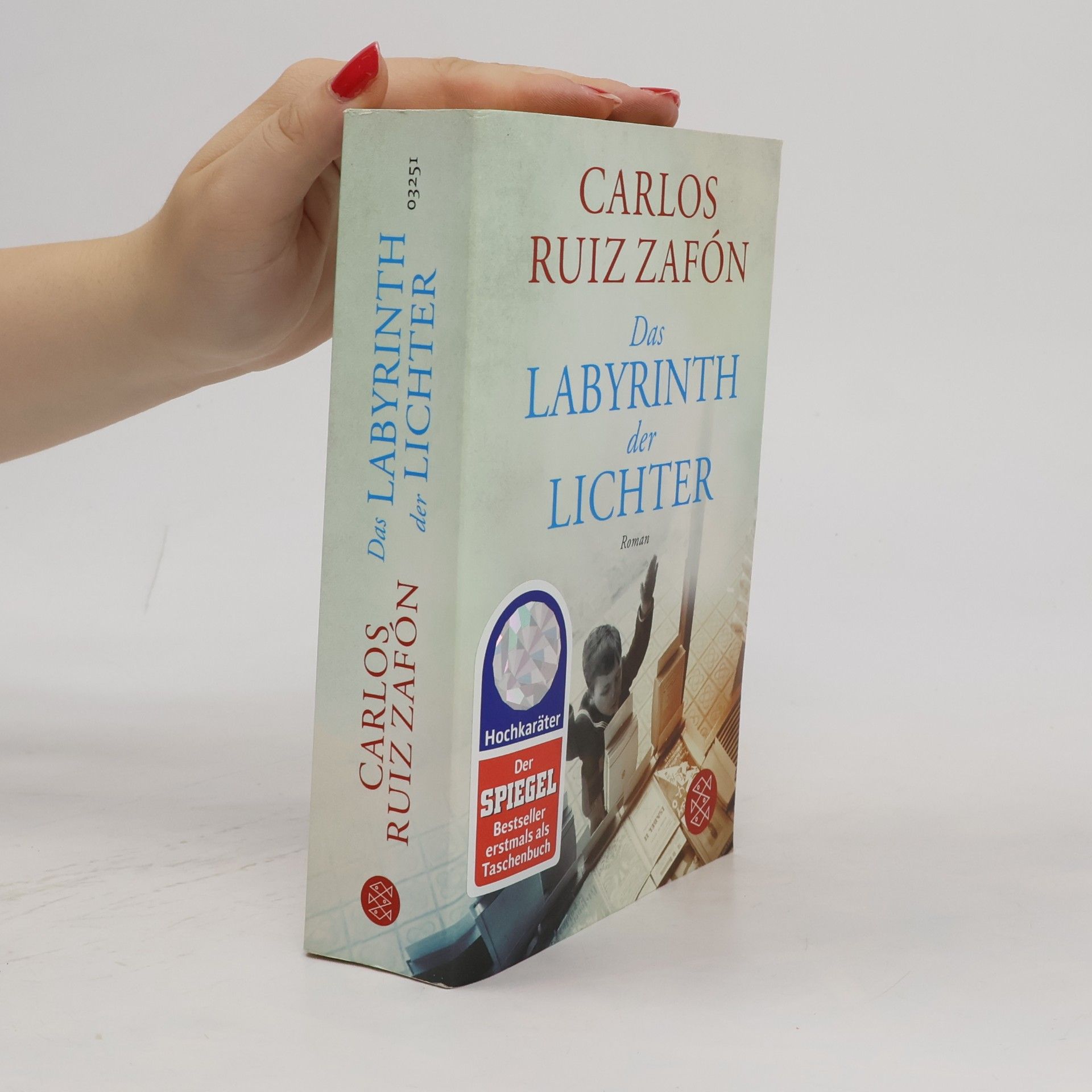 Carlos Ruiz Safon Das Labyrinth der Lichter