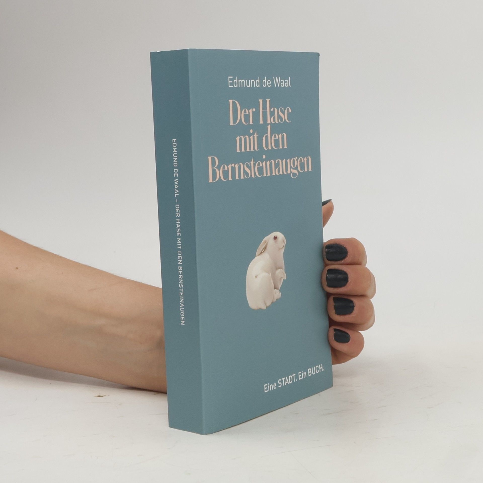 Edmund De Waal Der Hase mit den Bernsteinaugen