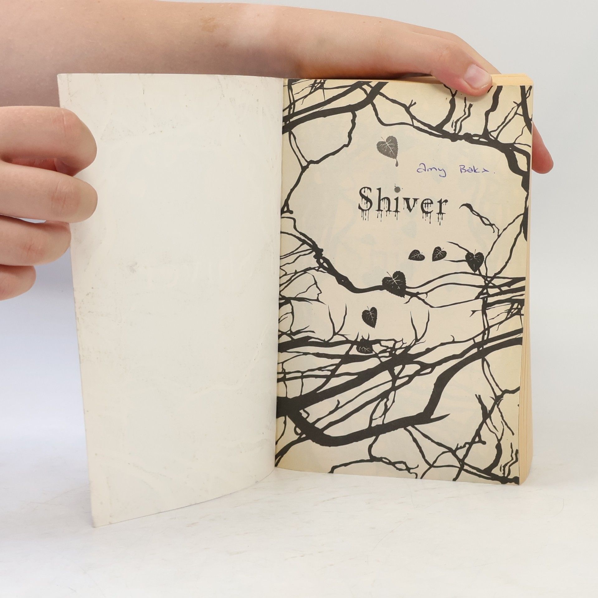Maggie Stiefvater Shiver