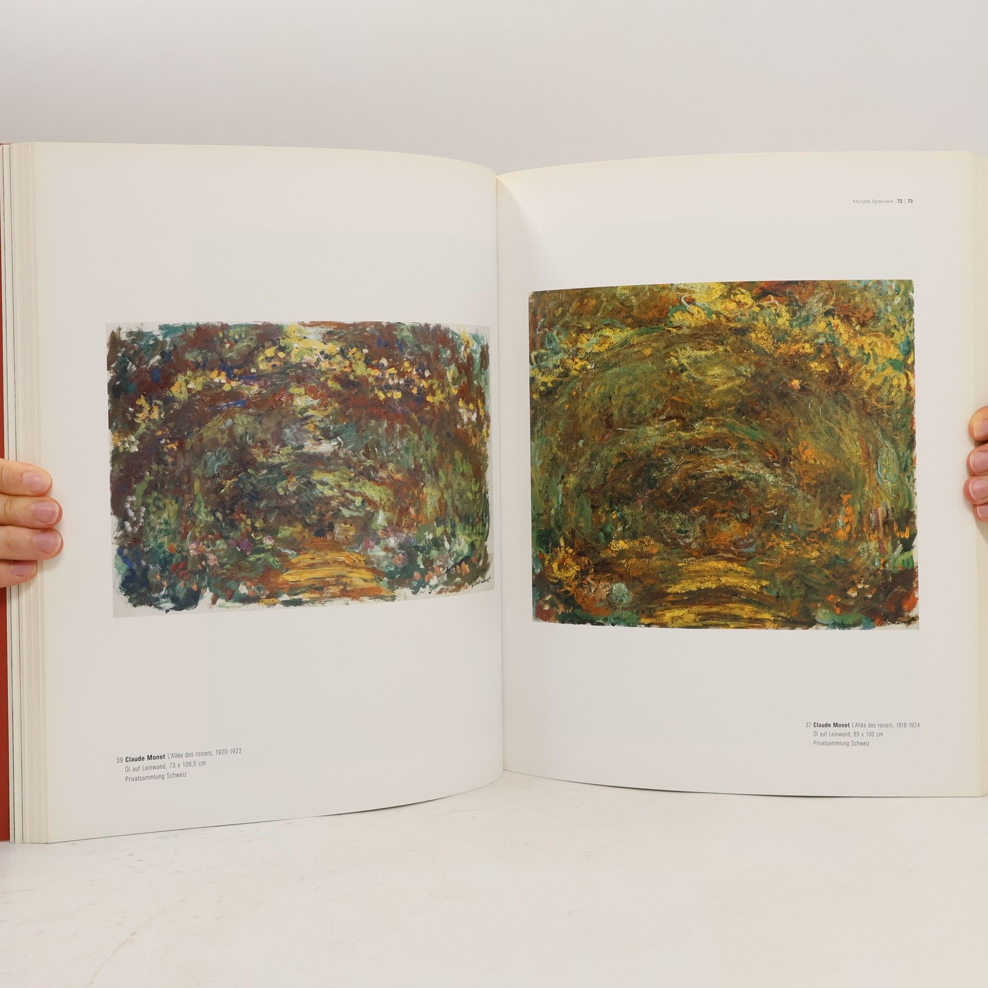 Jean Bazaine Claude Monet ... bis zum digitalen Impressionismus