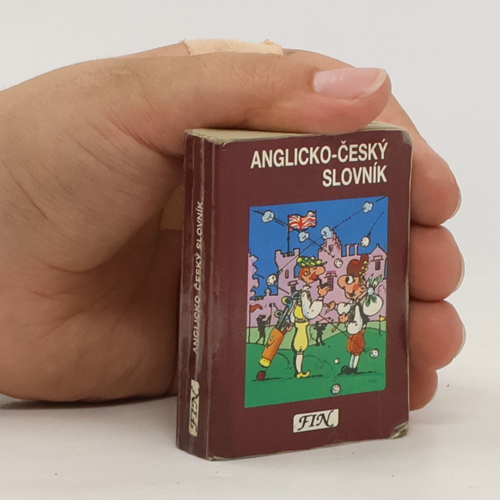 Kolektív autorov Anglicko-český slovník