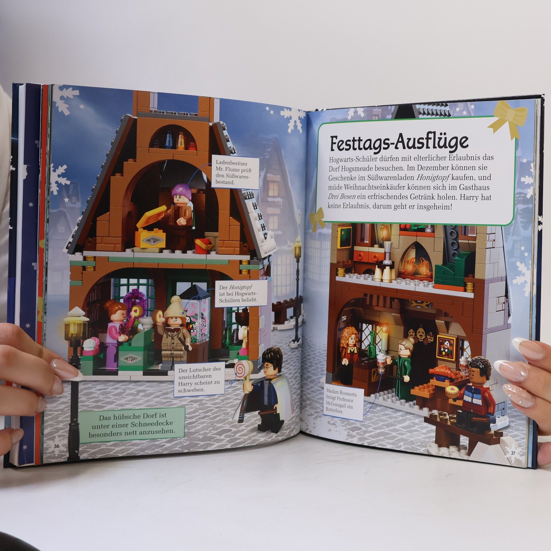 Simone Heller-Andrist LEGO® Harry Potter Weihnachten auf Hogwarts