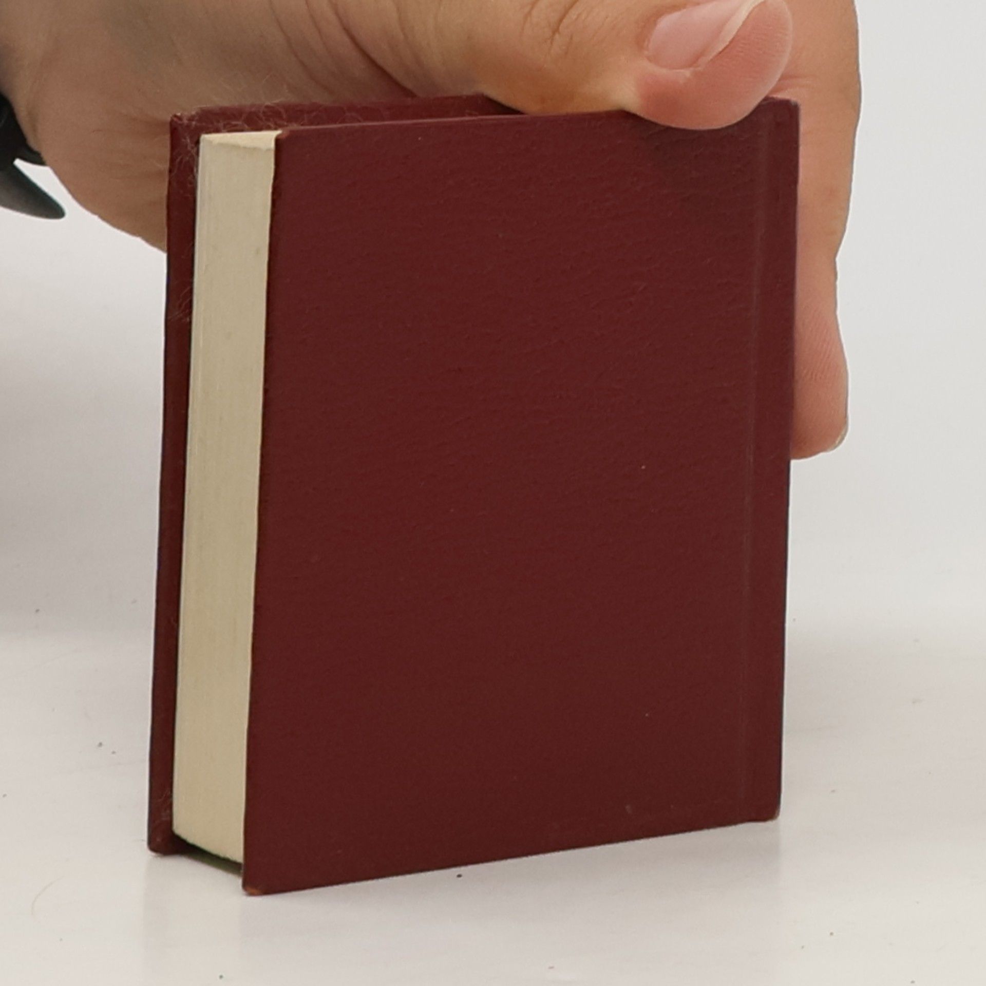 Pavel J. Becke Mini-Dictionary English-Czech & česko-anglický slovníček