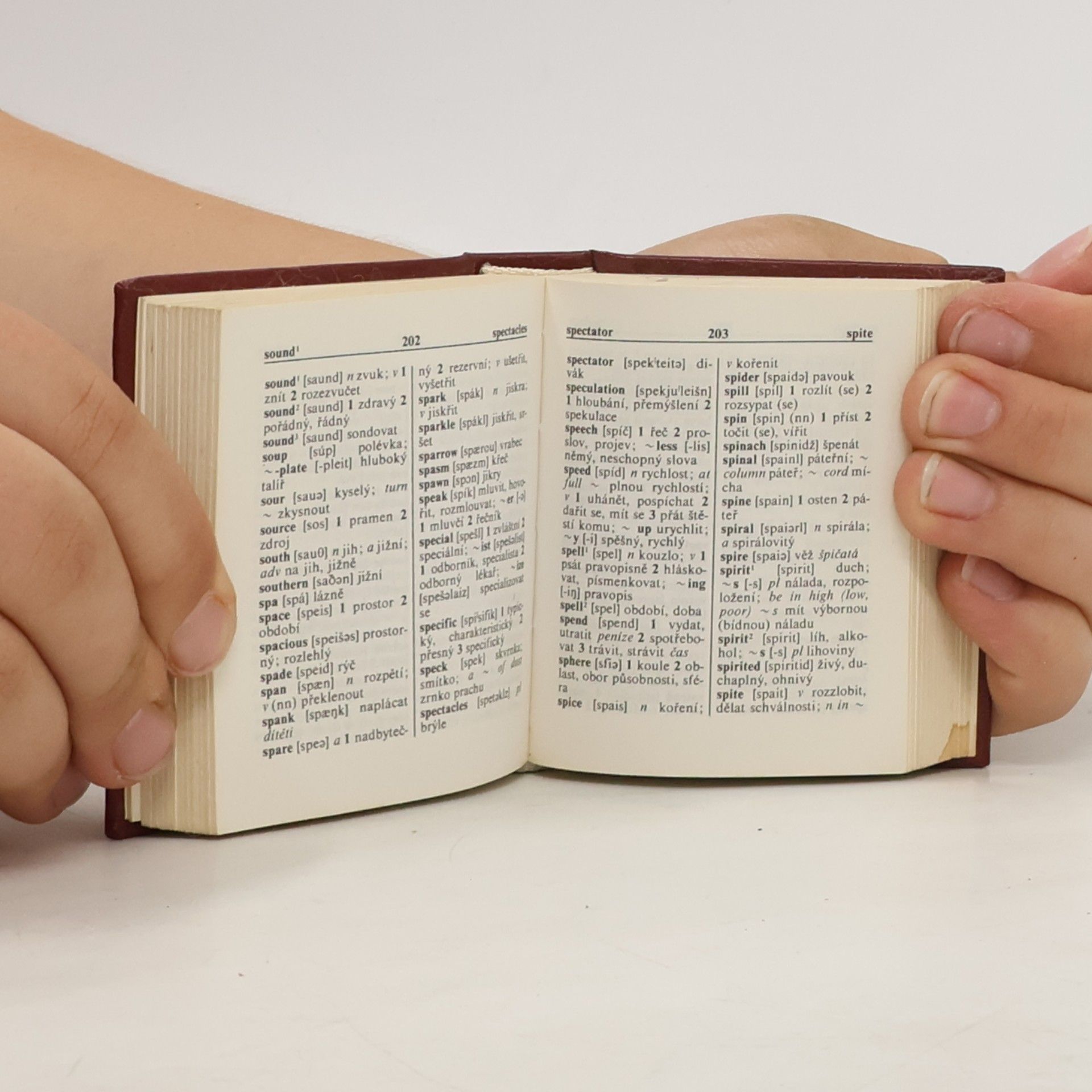 Pavel J. Becke Mini-Dictionary English-Czech & česko-anglický slovníček