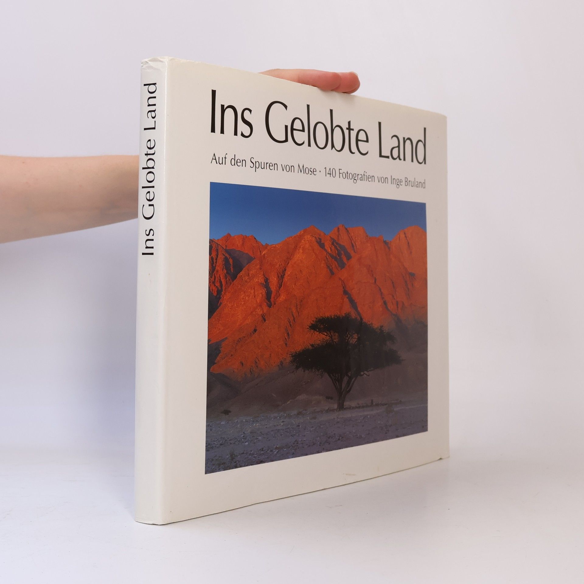 Inge Bruland Ins gelobte Land