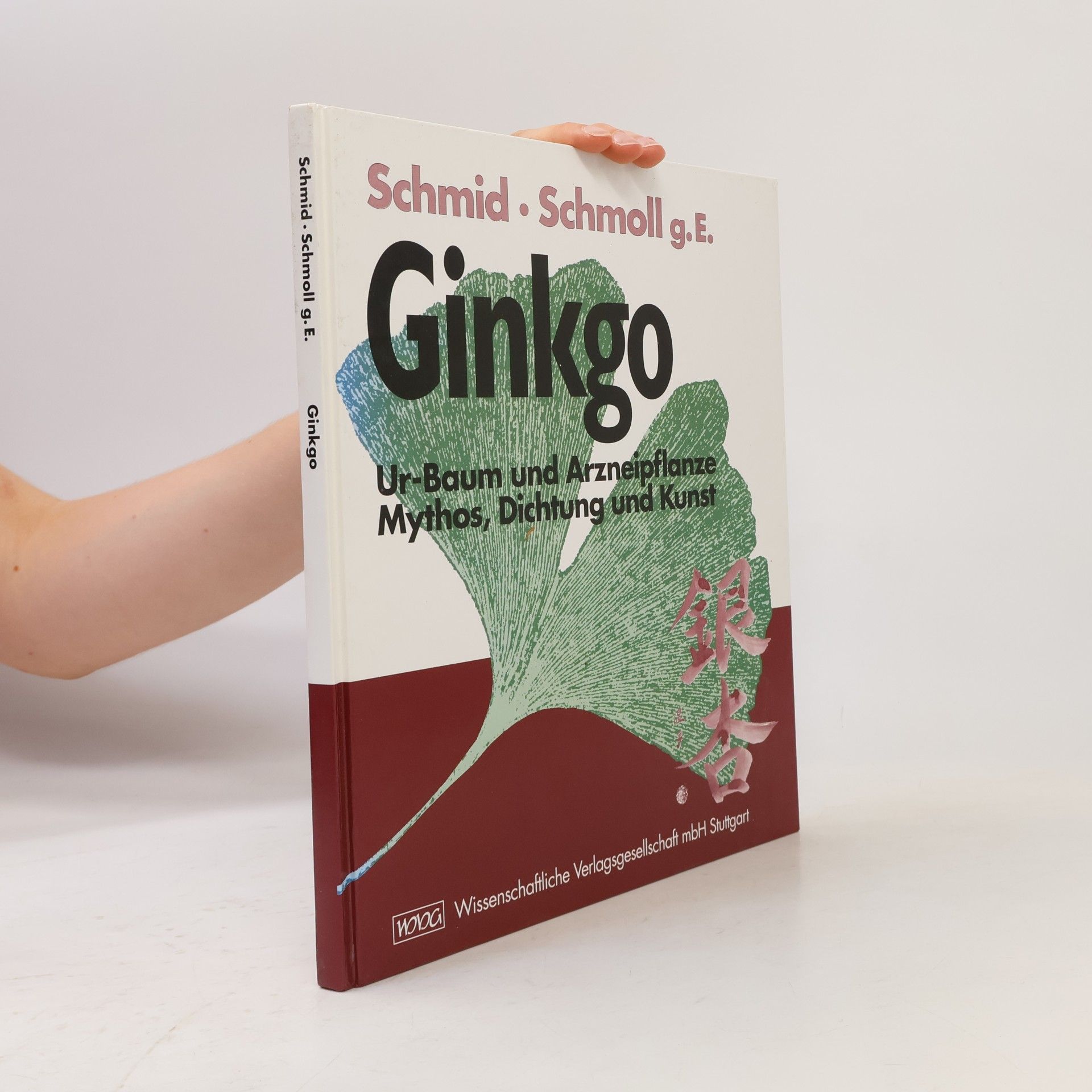 Maria Schmid Ginkgo
