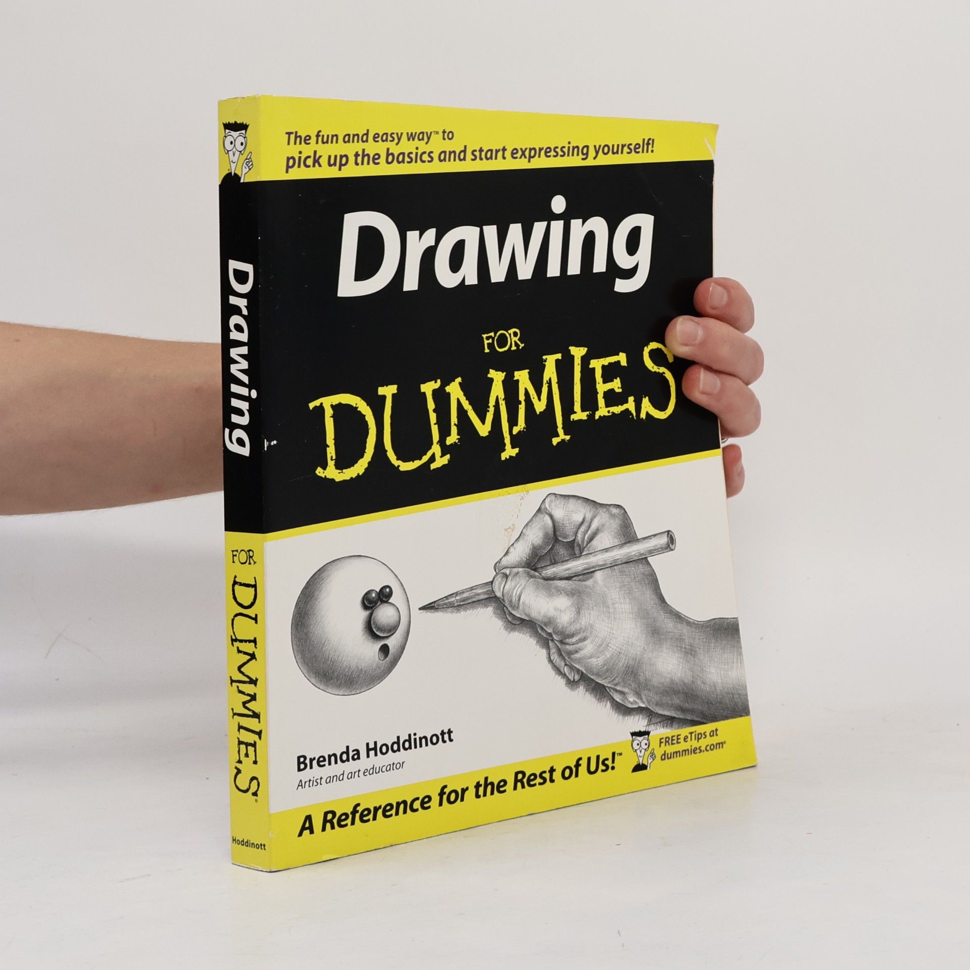 Brenda Hoddinott Drawing For Dummies