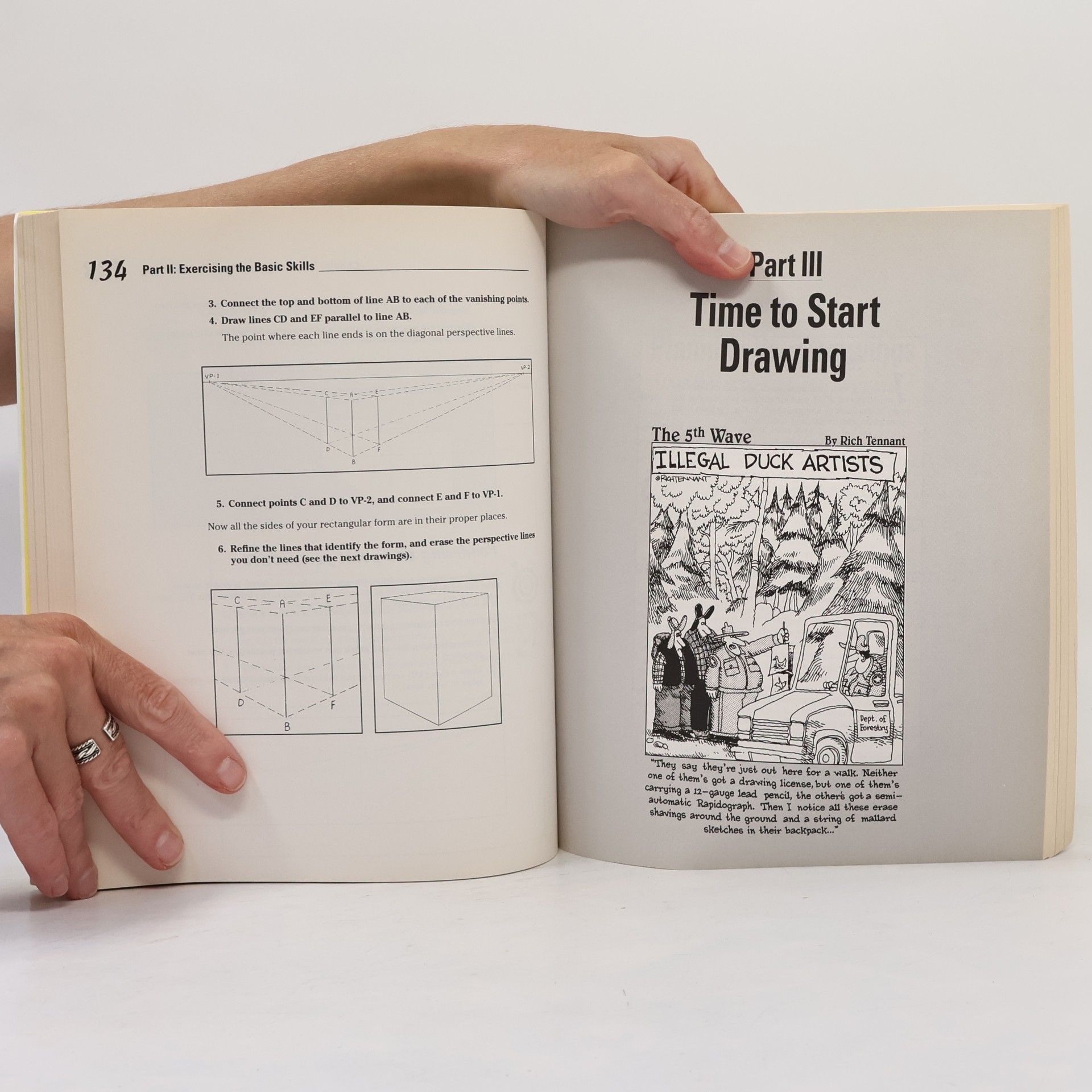 Brenda Hoddinott Drawing For Dummies