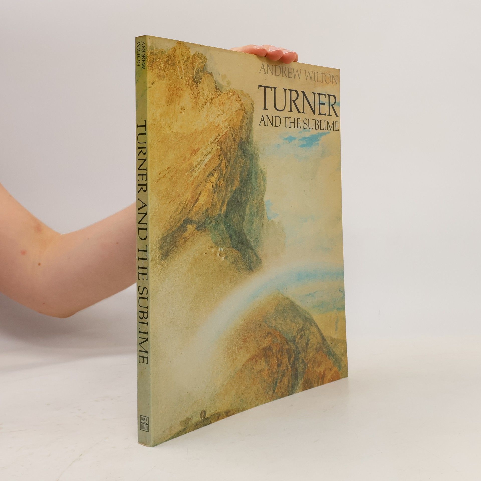 Andrew Wilton Turner and the Sublime