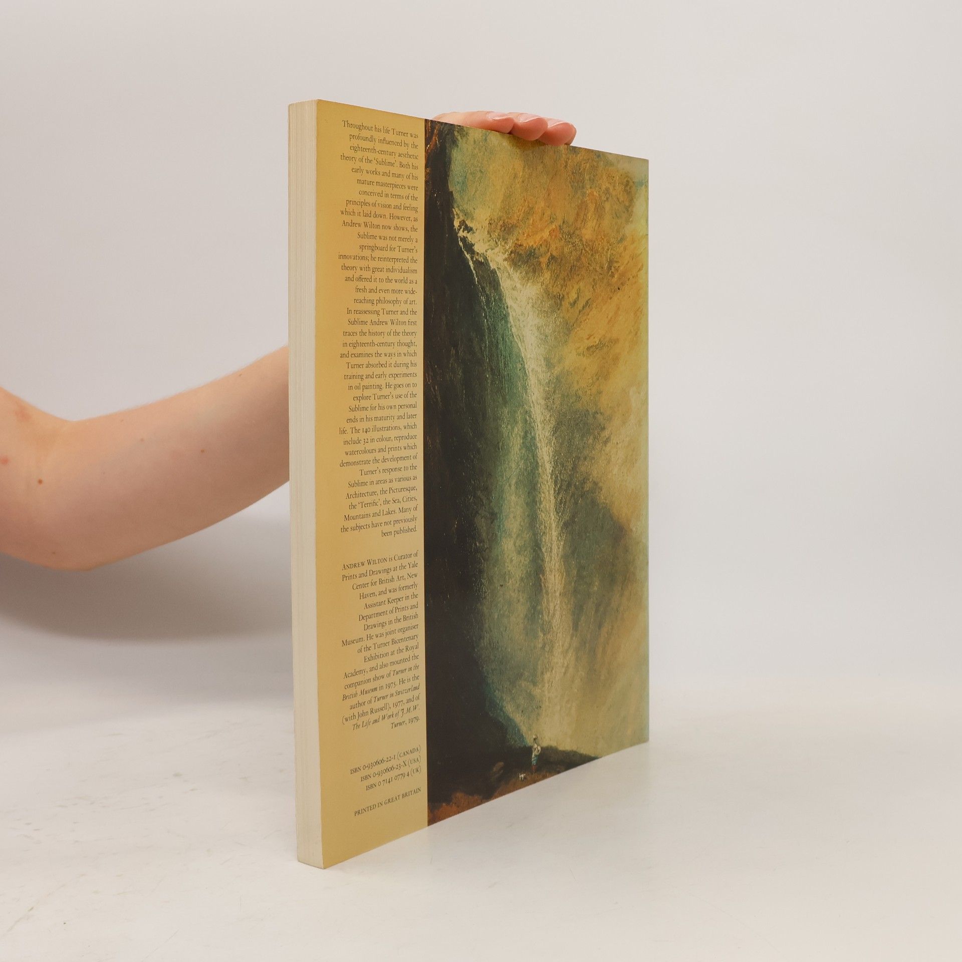 Andrew Wilton Turner and the Sublime
