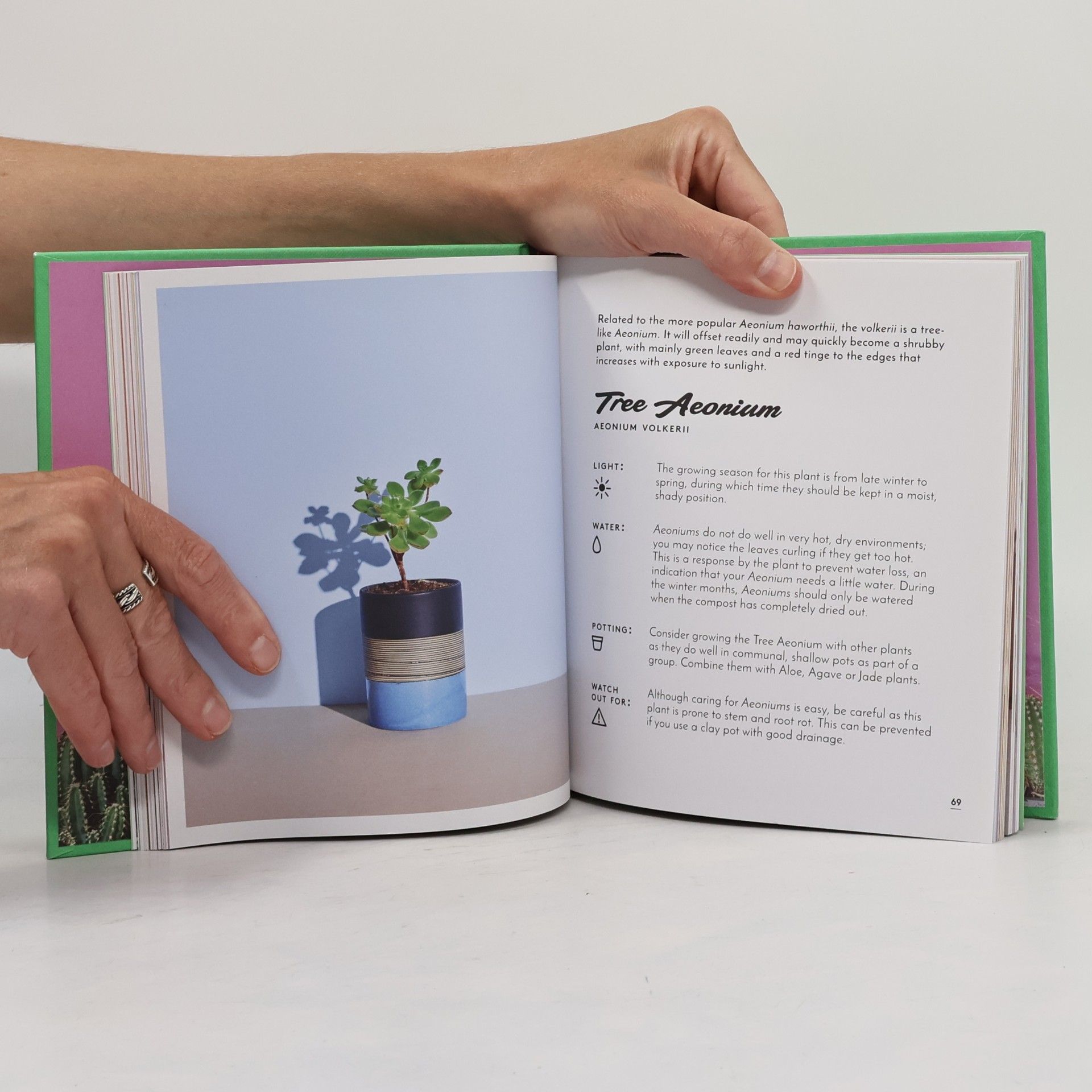 Emma Sibley The Little Book of Cacti and Other Succulents