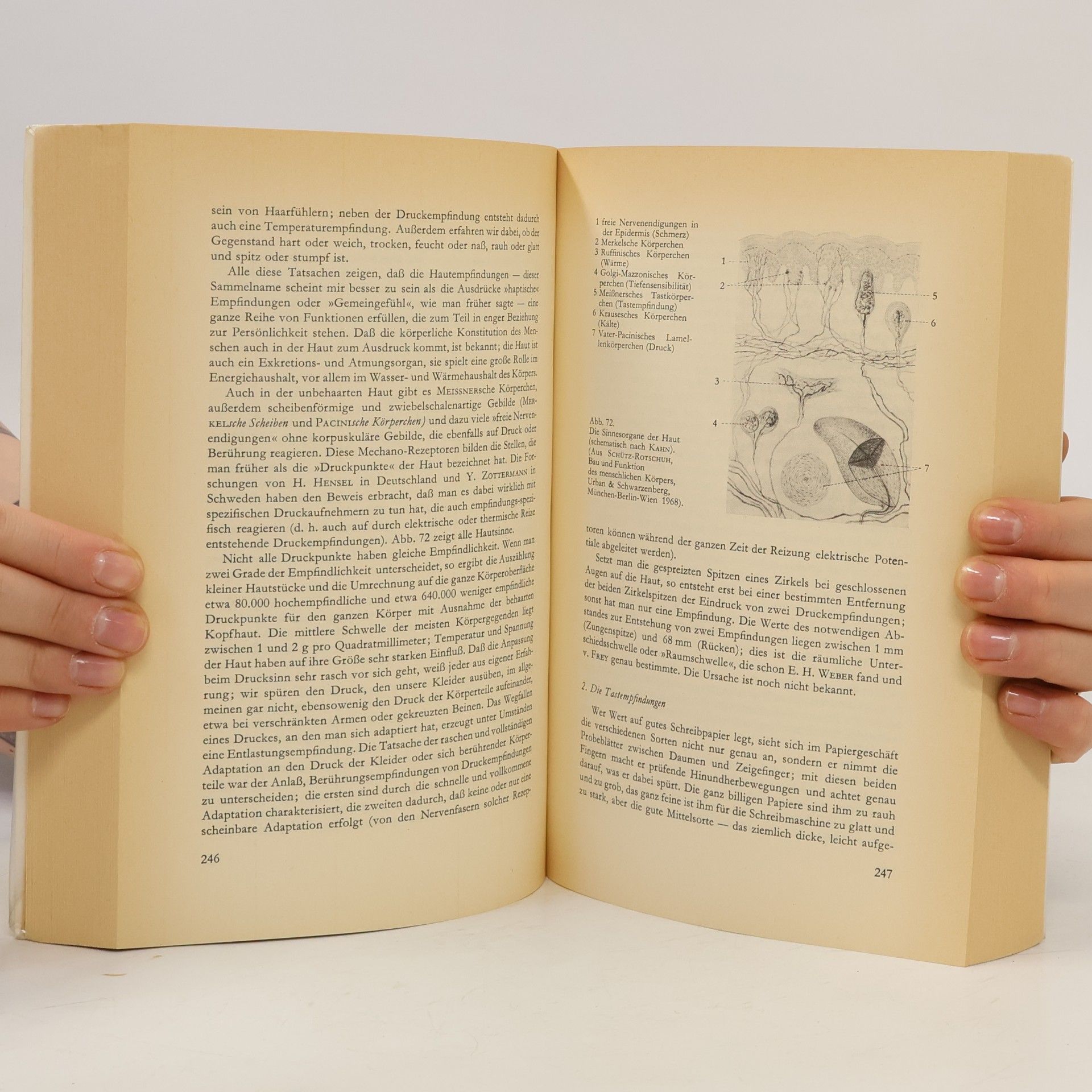 Hubert Rohracher Einführung in die Psychologie