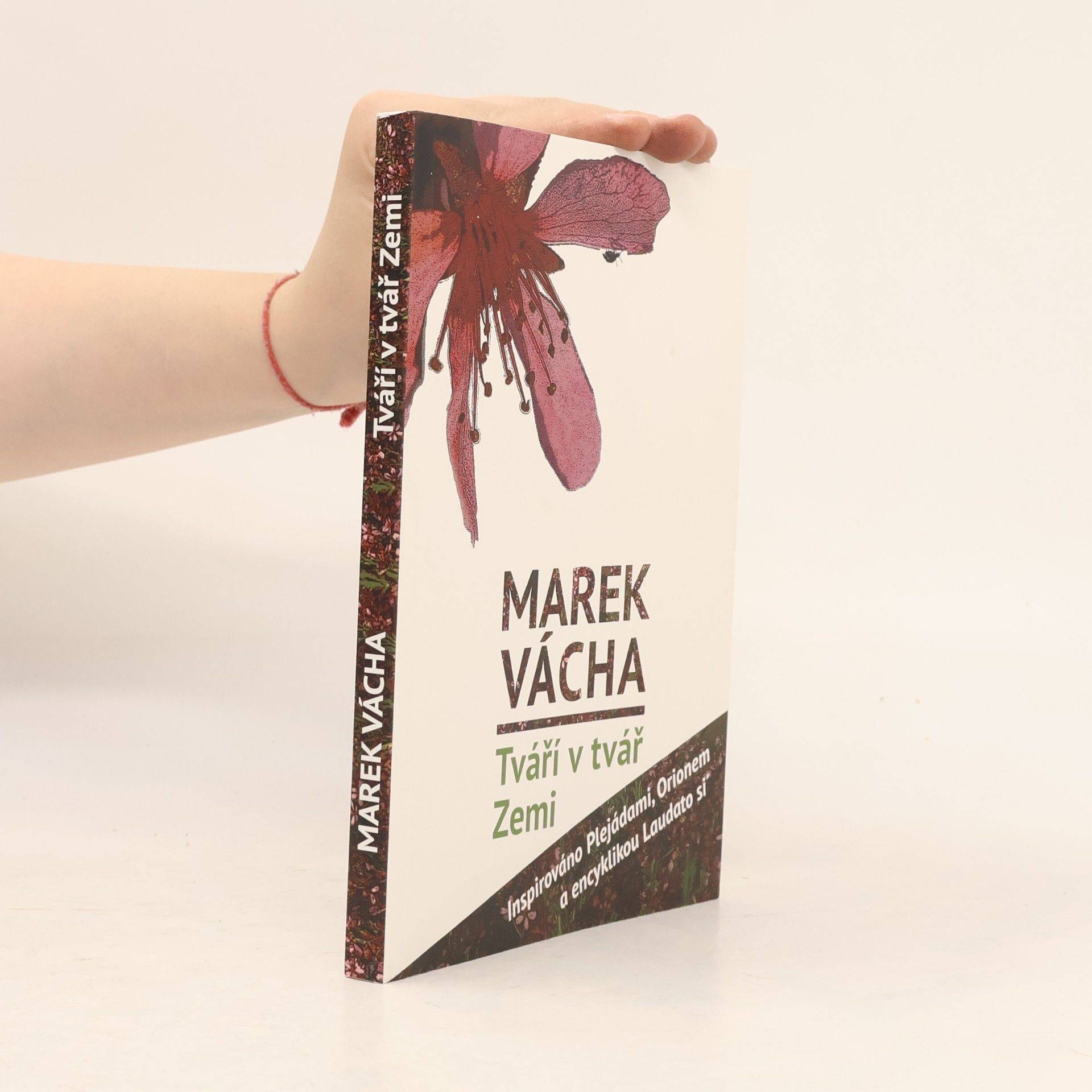 Marek Vácha Tváří v tvář Zemi