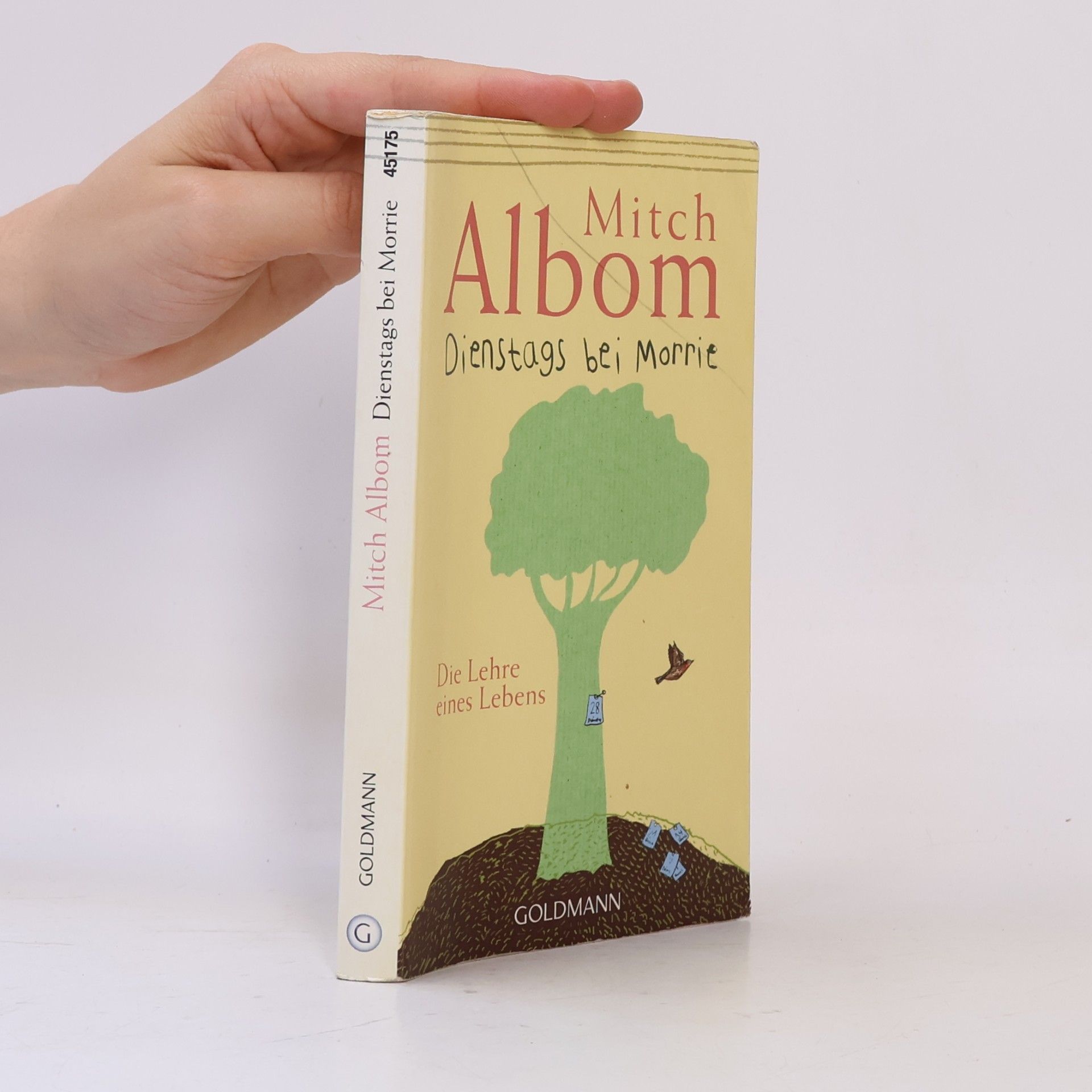 Mitch Albom Dienstags bei Morrie