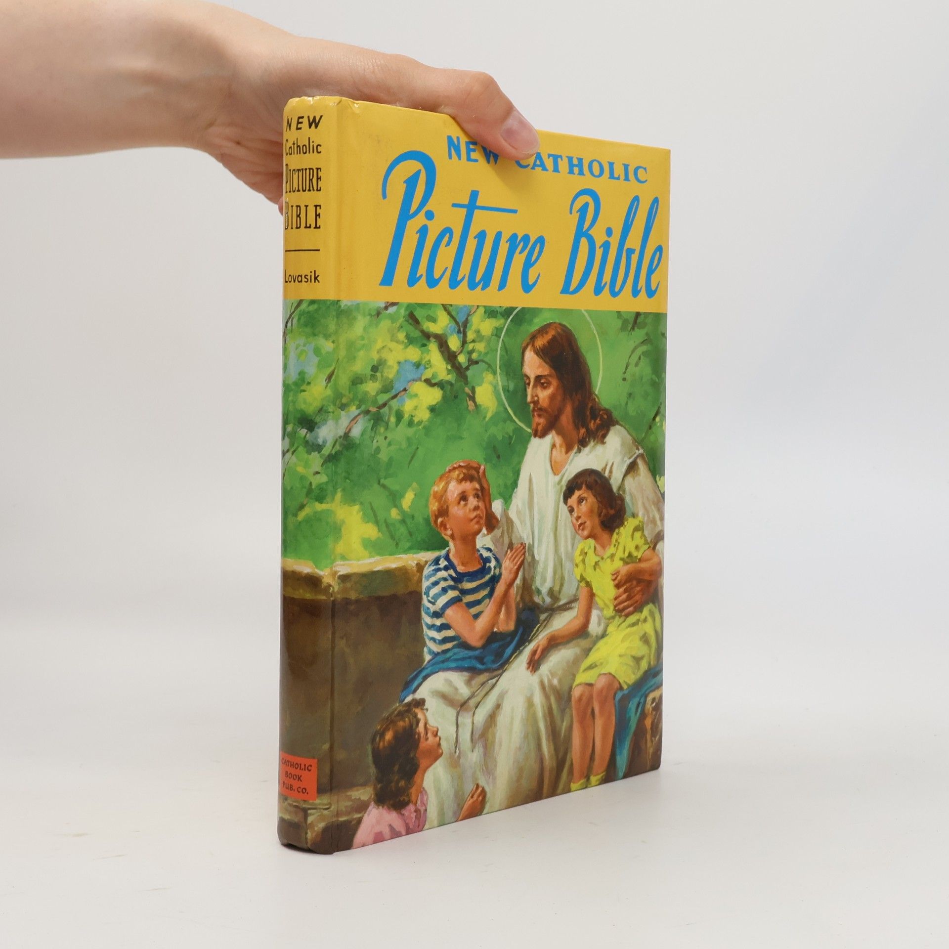New Catholic Picture Bible