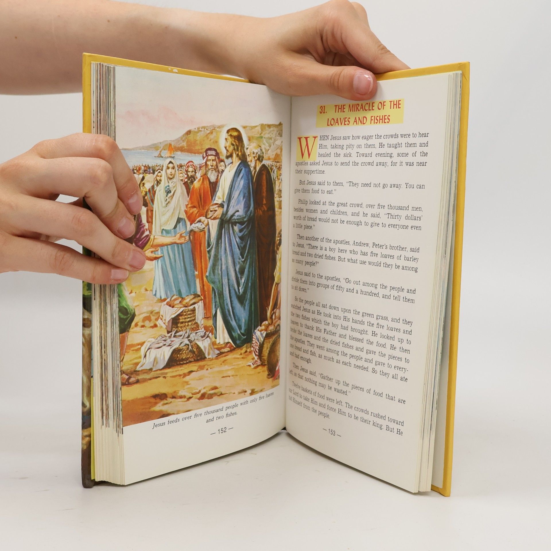 Lawrence G. Lovásik  New Catholic Picture Bible