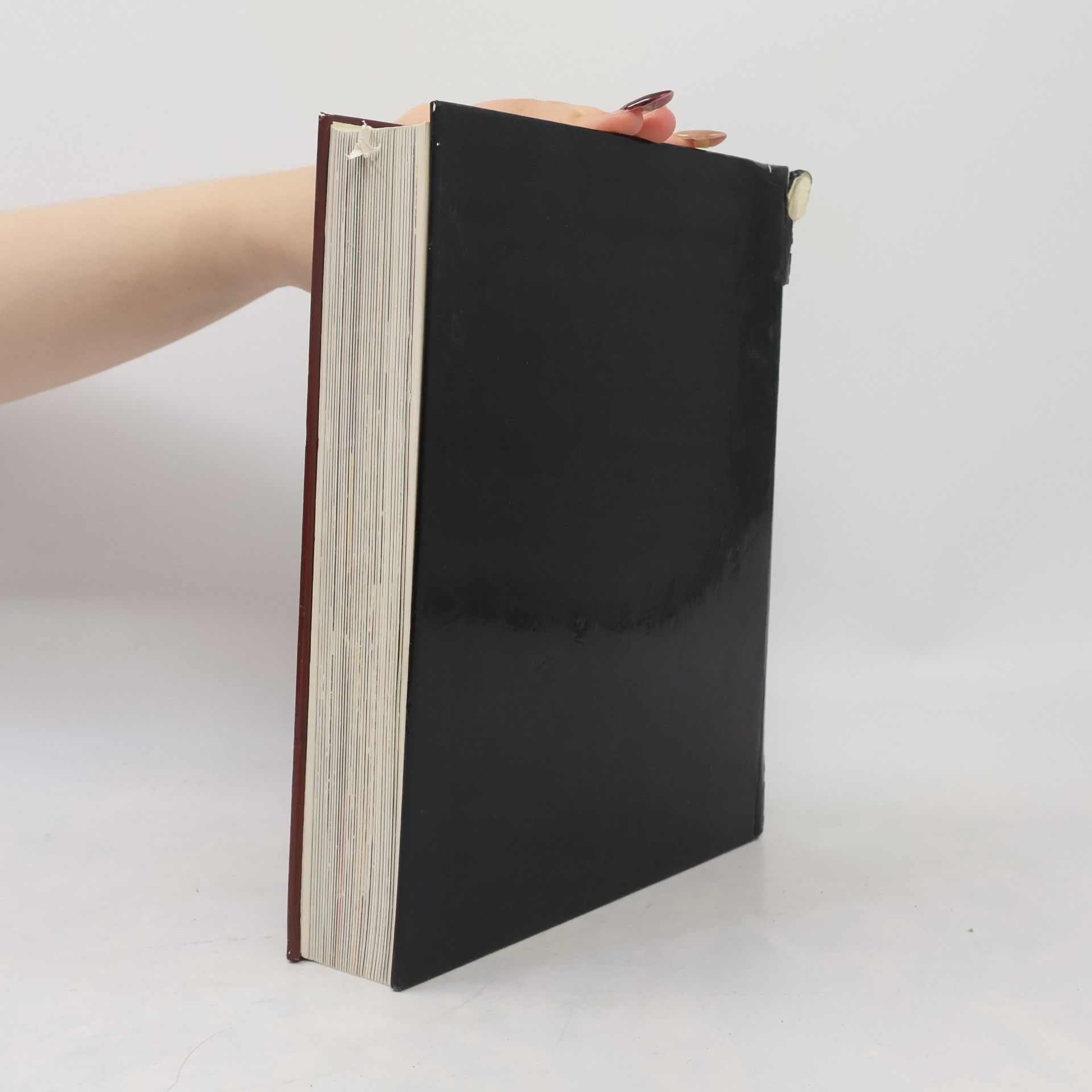Franz Maier-Bruck Das Große Sacher Kochbuch