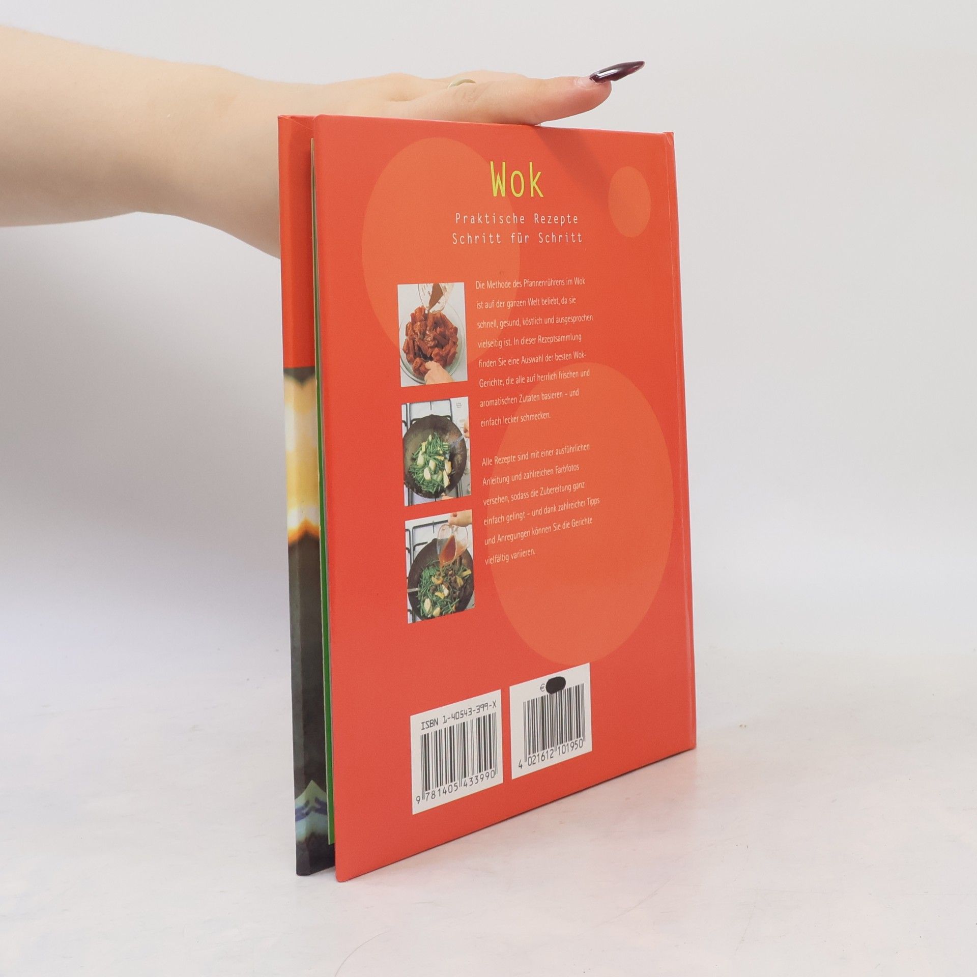 Autorenkollektiv Wok. Praktische Rezepte Schritt für Schritt