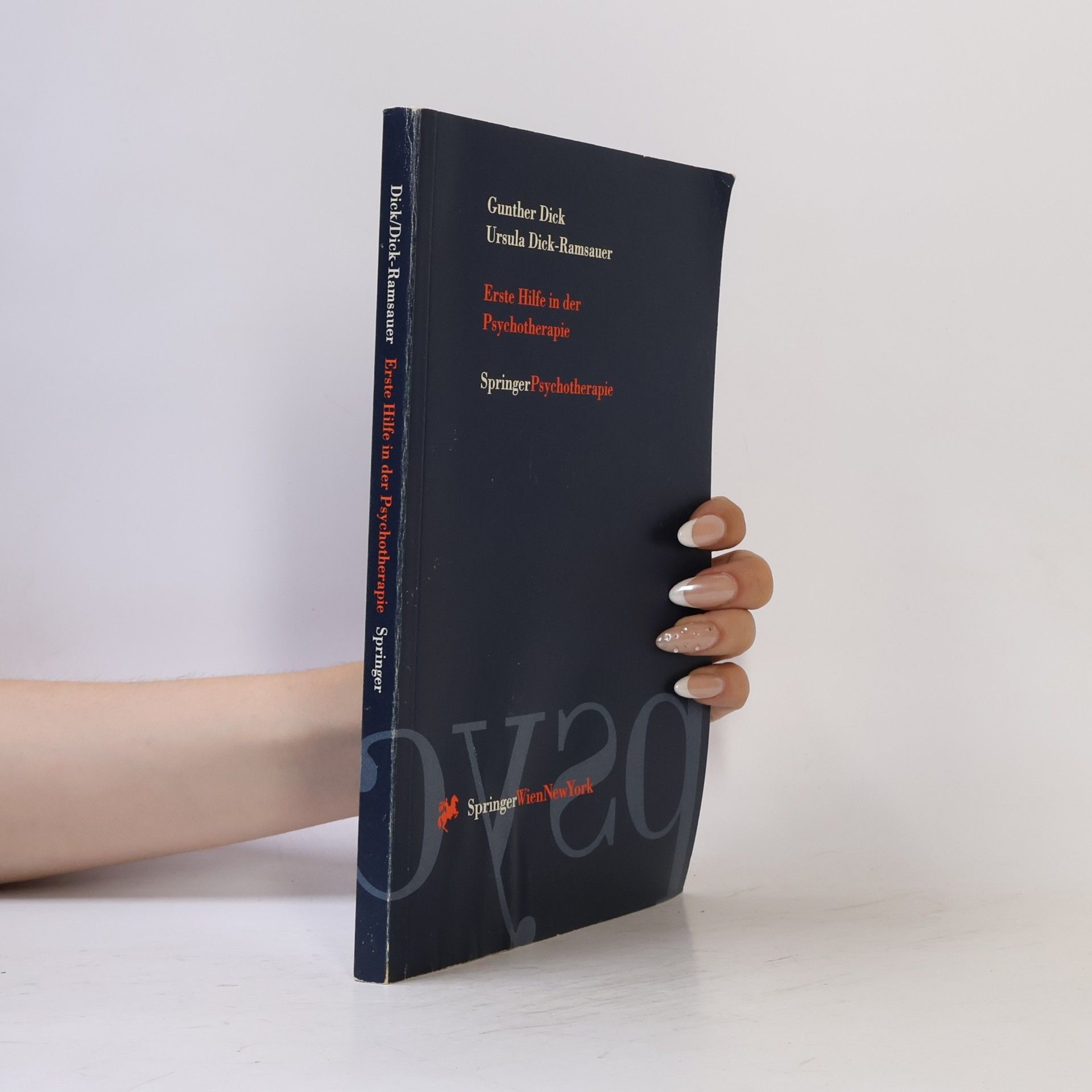 Ursula Dick-Ramsauer Springer Psychotherapie: Erste Hilfe in der Psychotherapie