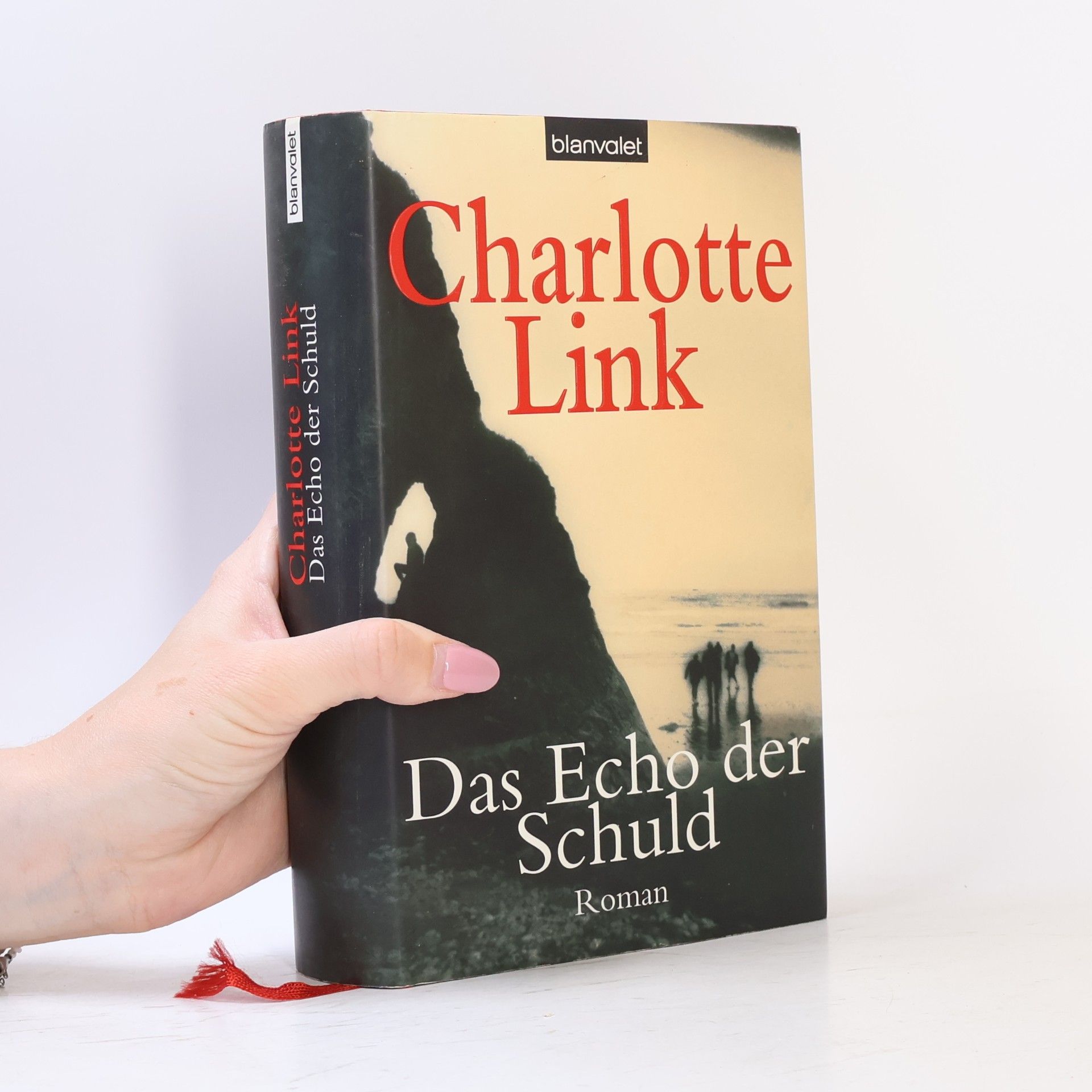 Charlotte Link Das Echo der Schuld