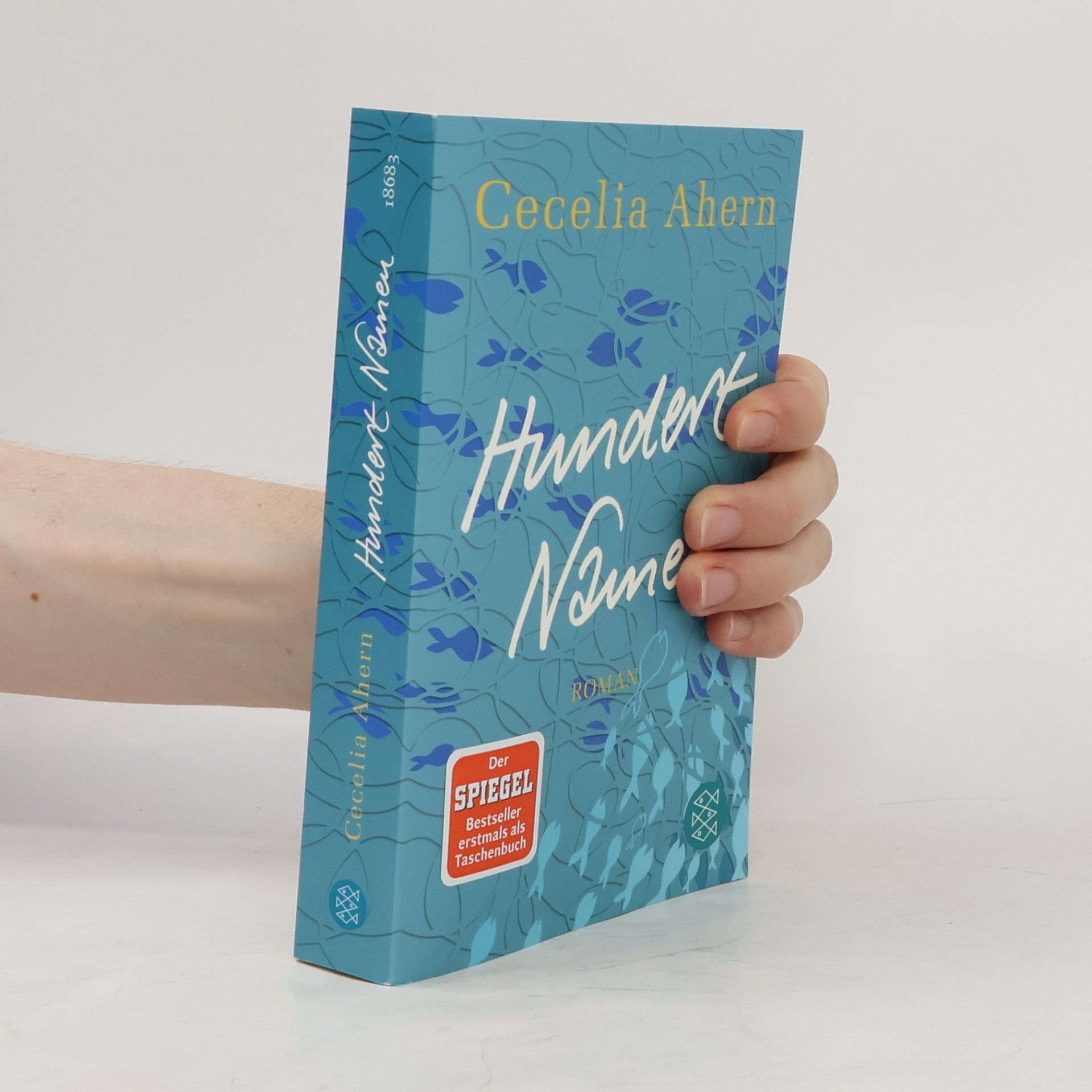 Cecelia Ahern Hundert Namen