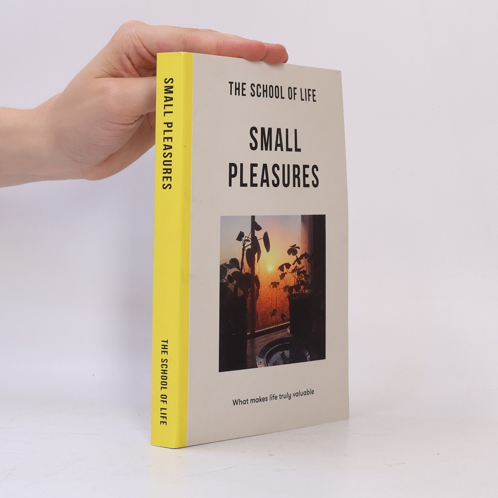 The School of Life The School of Life: Small Pleasures - what makes life truly valuable
